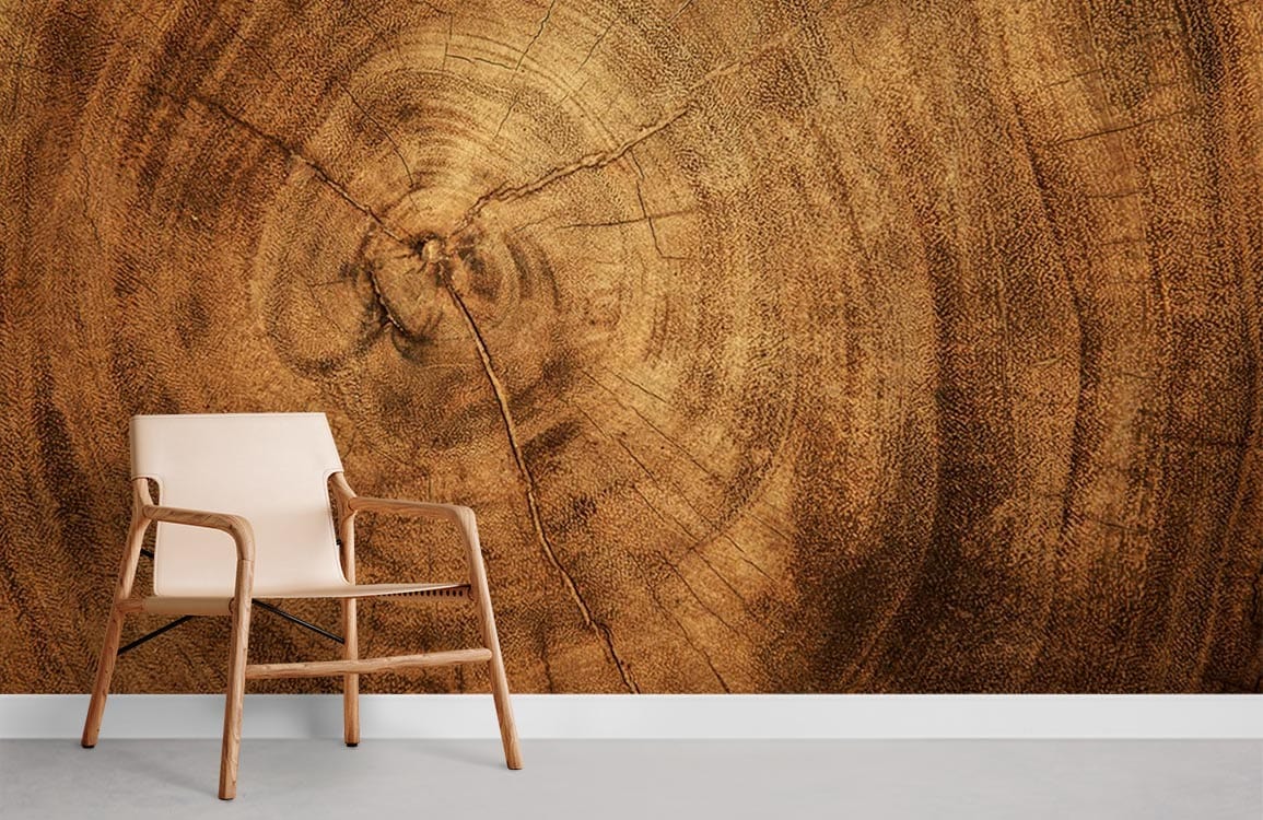 1155x750 Cracked Wood Yea Ring Wallpaper Mural. Ever Wallpaper UK