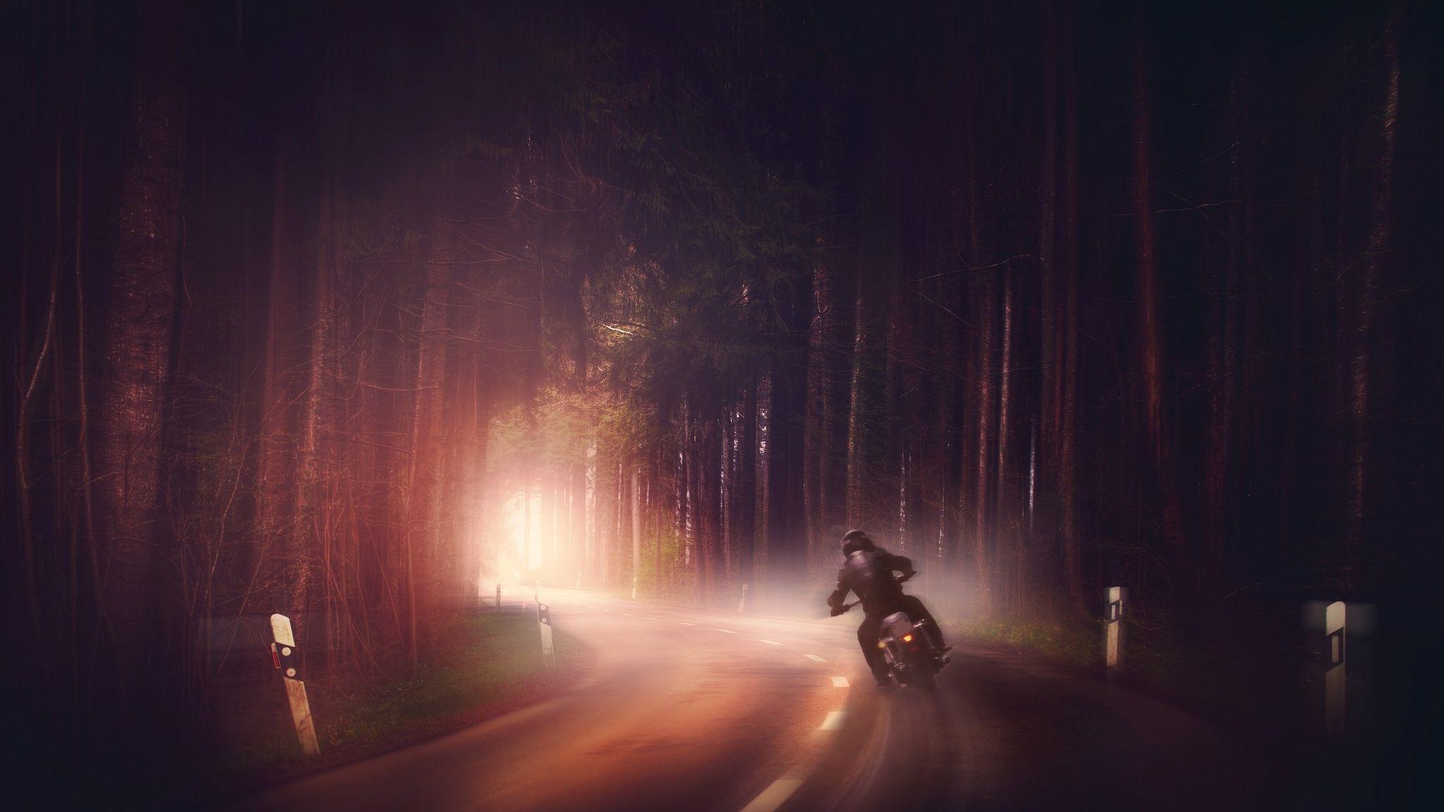 2048x1152 Biker In Woods Dark Road Digital Art 2048x1152 Resolution