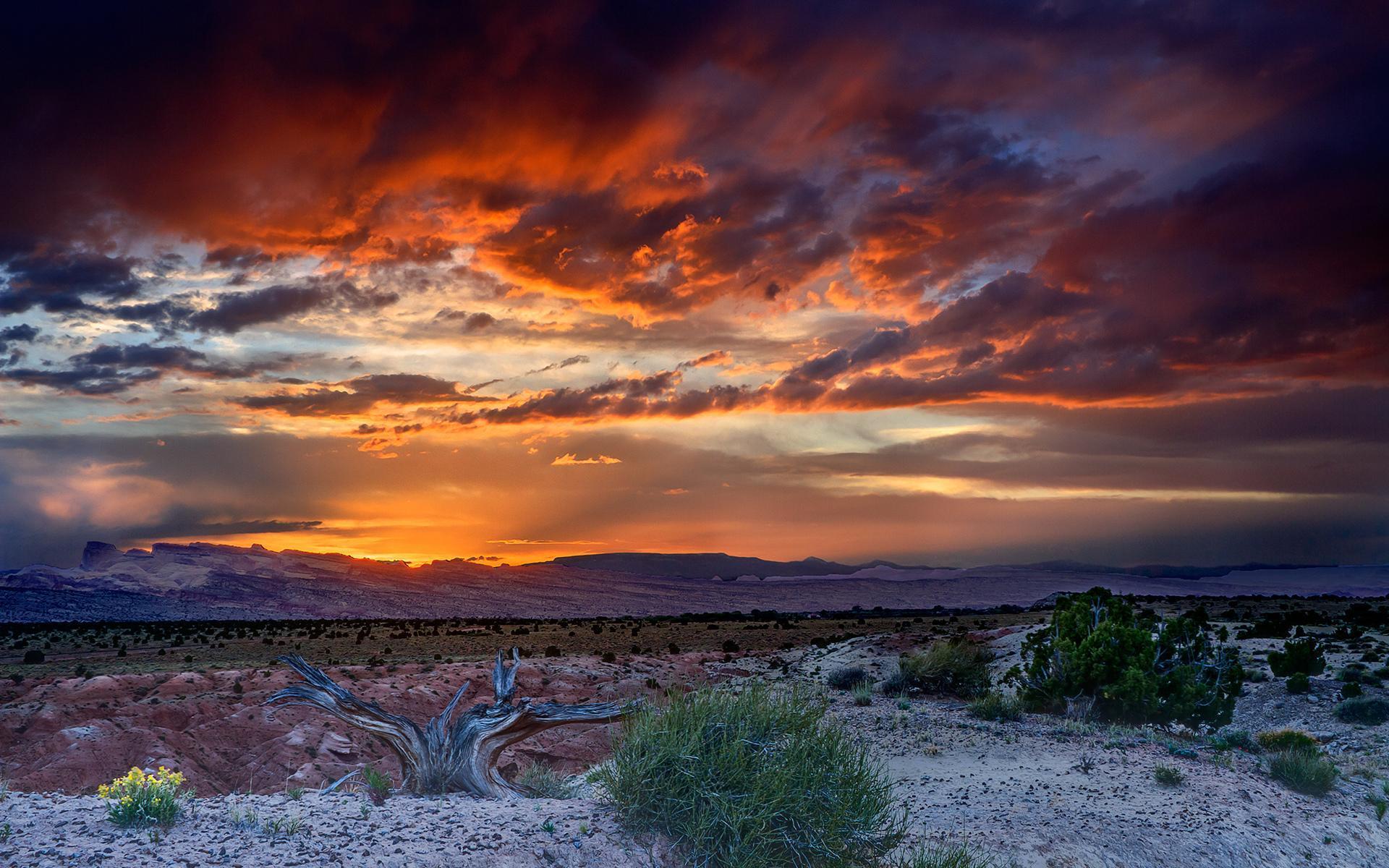 Desert Sunset Wallpapers - Top Free Desert Sunset Backgrounds