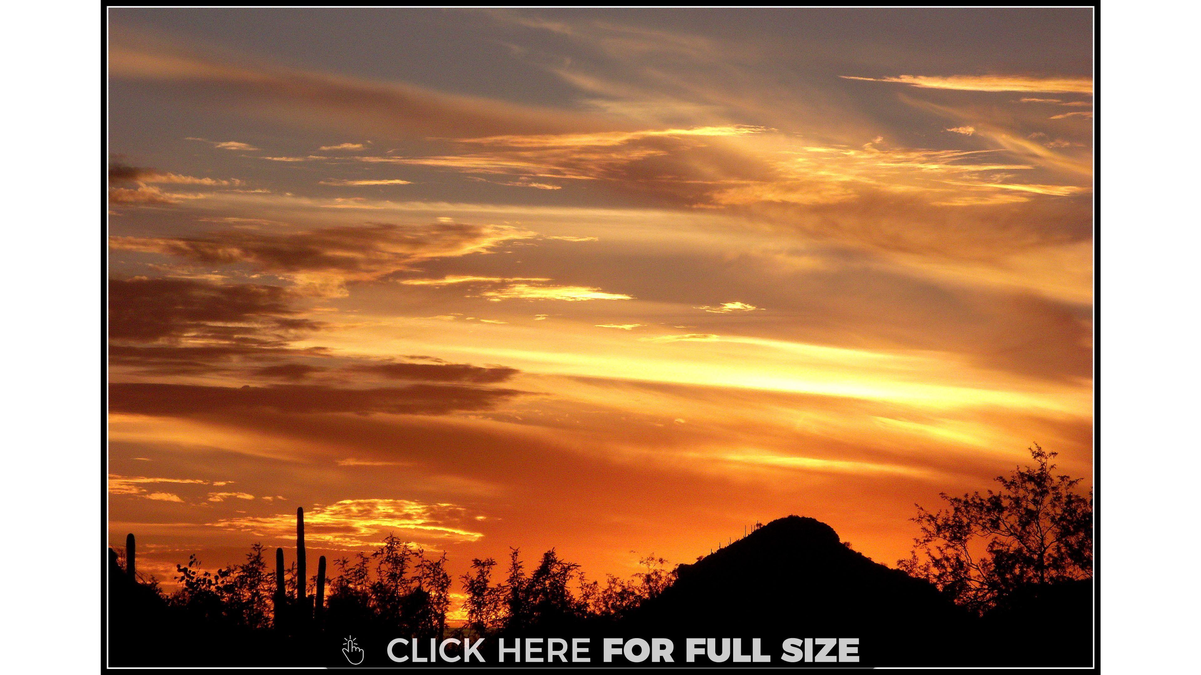 Tucson Desert Wallpapers Top Free Tucson Desert Backgrounds Wallpaperaccess 4501