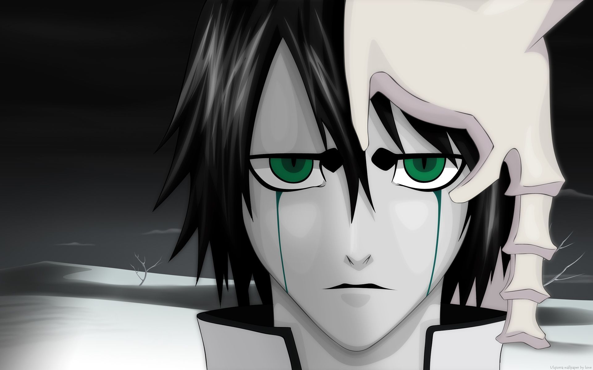 1920x1200 HD desktop wallpaper: Anime, Bleach, Ulquiorra Cifer download free picture