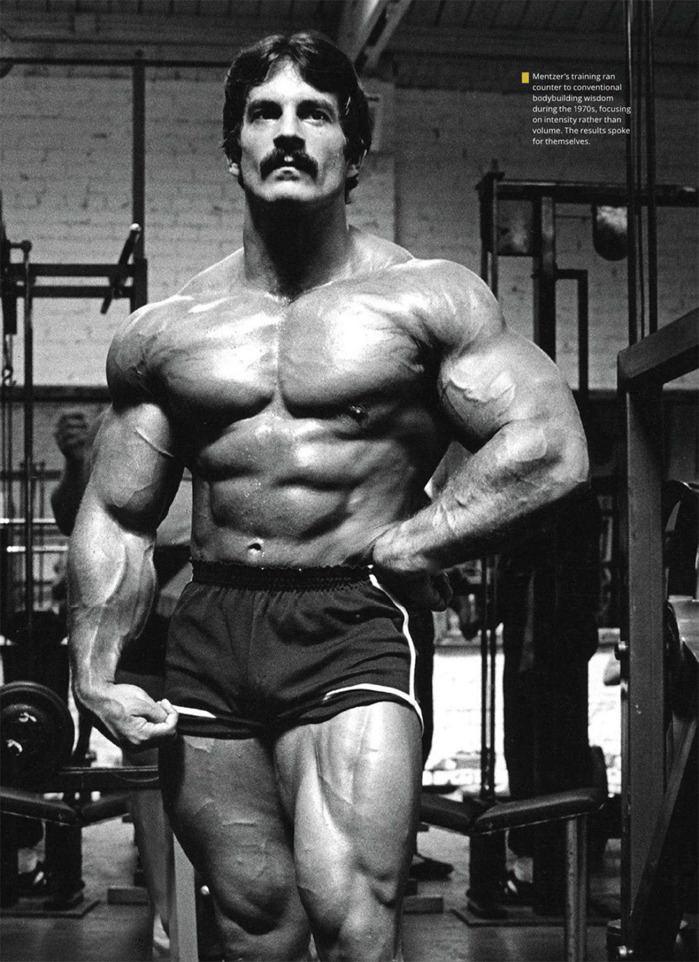 Mike Mentzer Wallpapers - Top Free Mike Mentzer Backgrounds