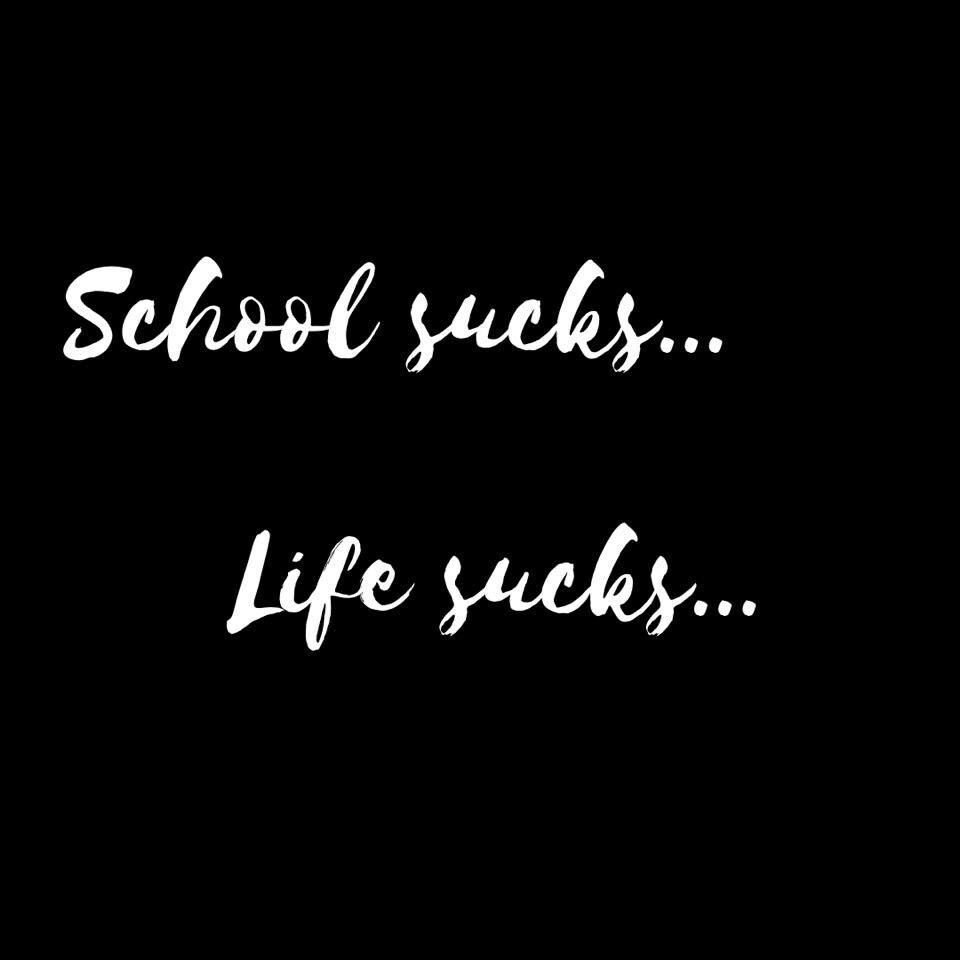 960x960 School Sucks