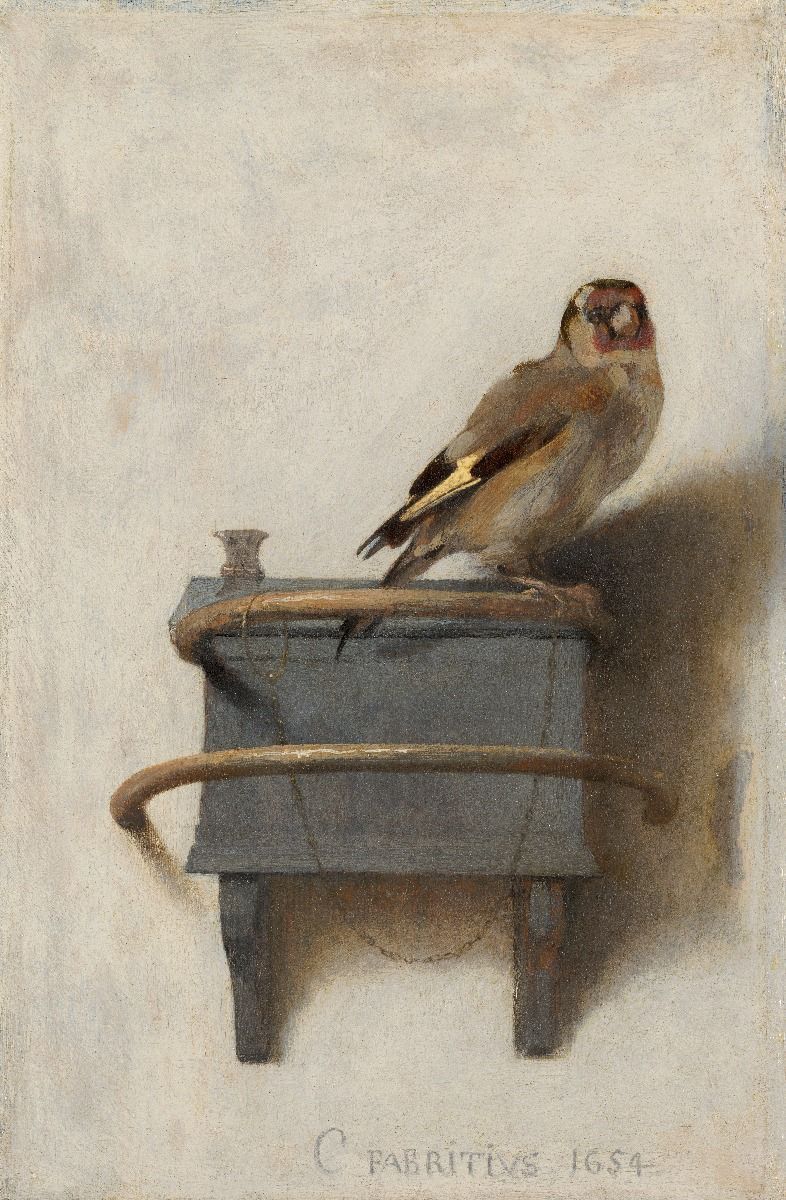 786x1200 The goldfinch