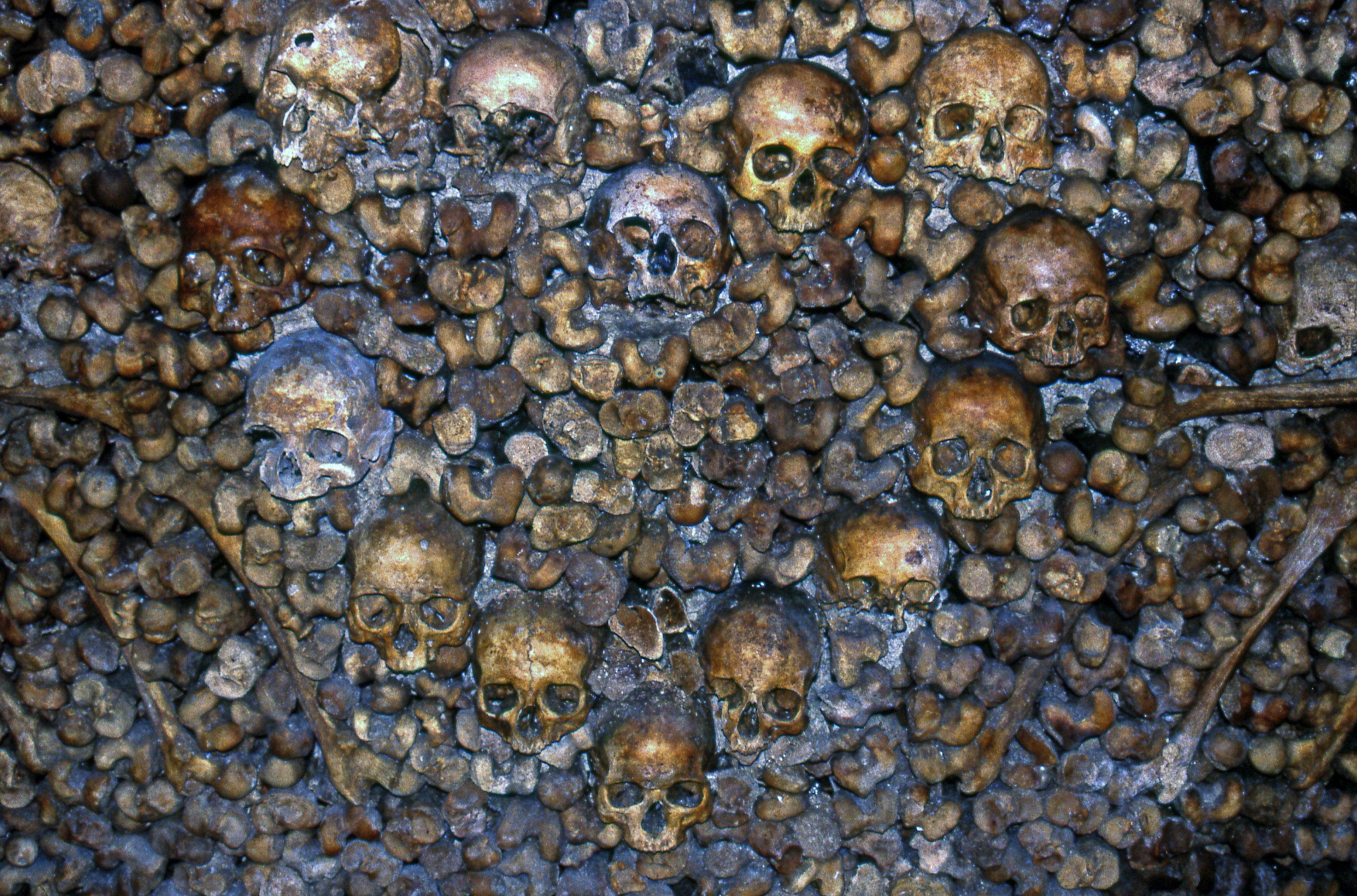 3840x2537 Wallpaper / inside the catacombs of paris 4k wallpaper free download