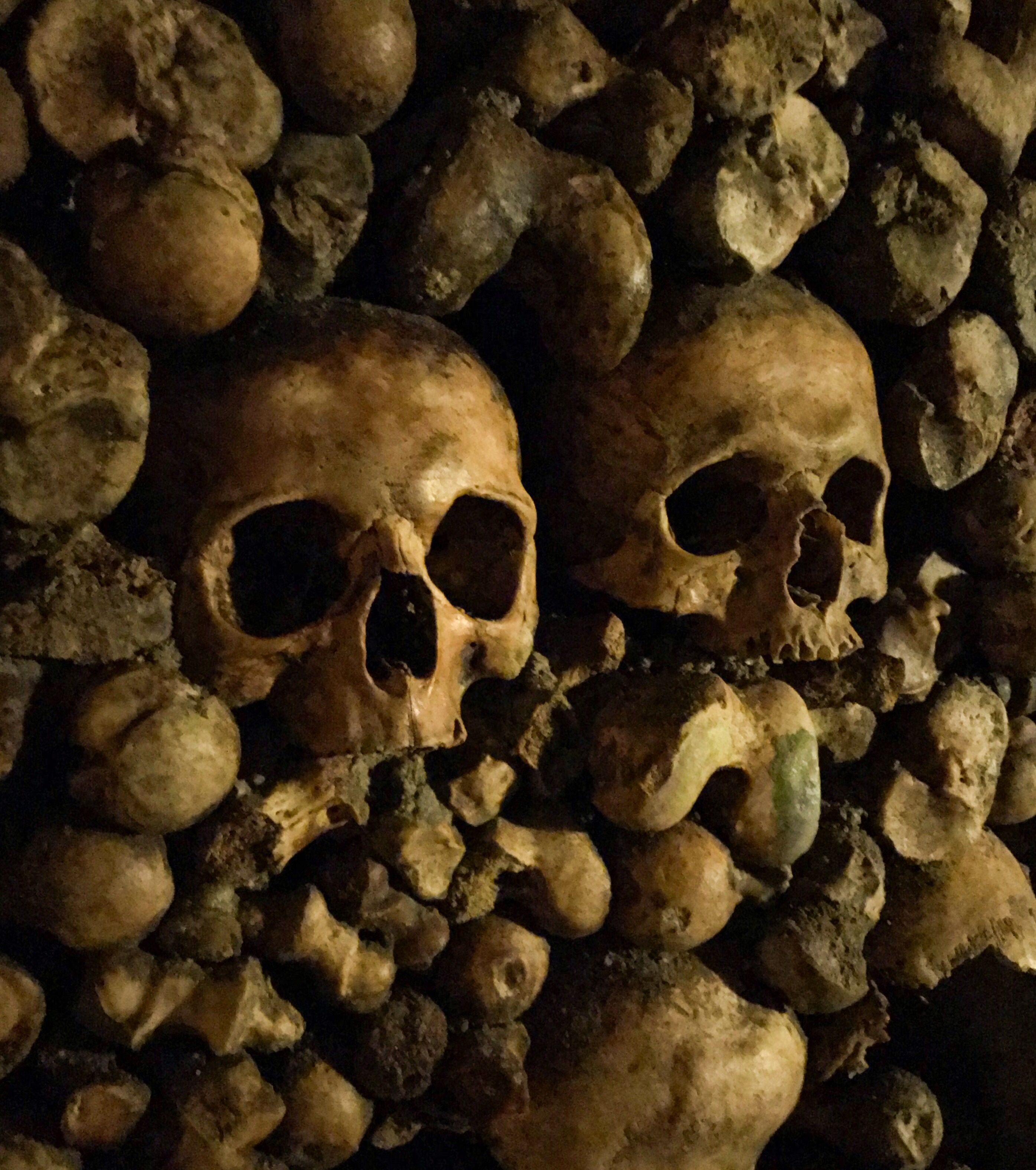 2791x3152 The Paris Catacombs
