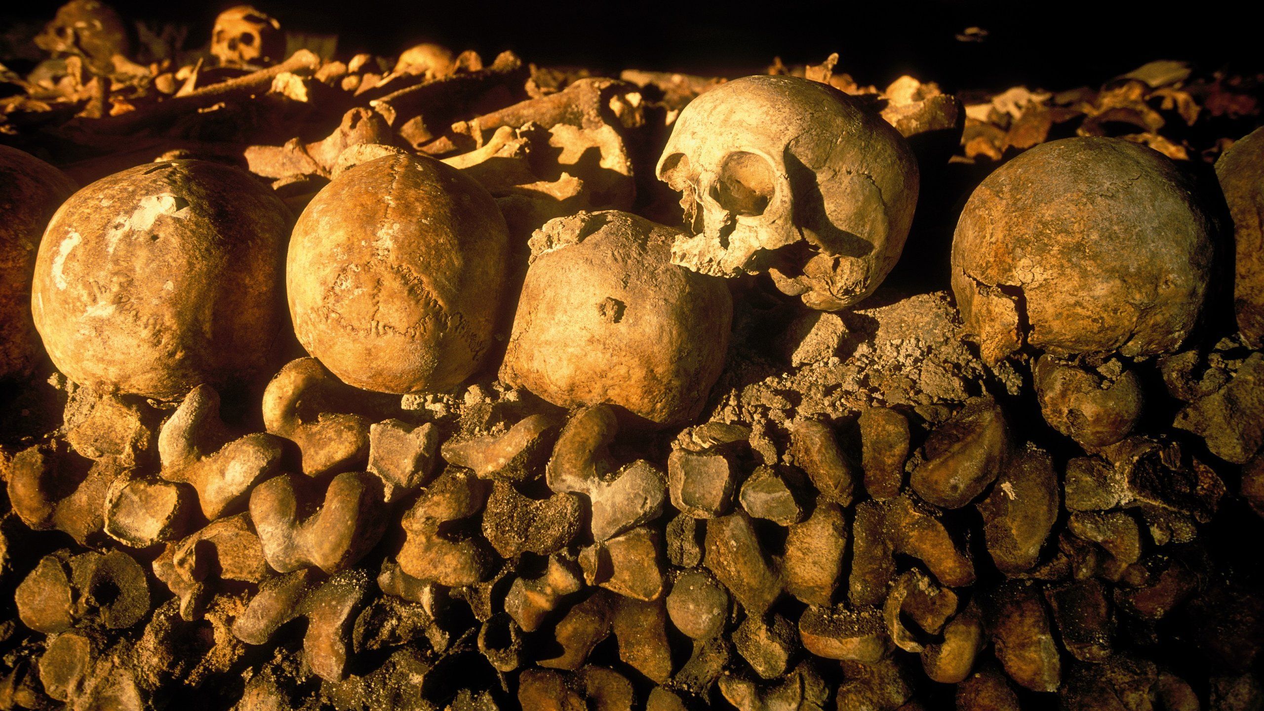 2560x1440 Paris Catacombs in 14th Arrondissement and Activities