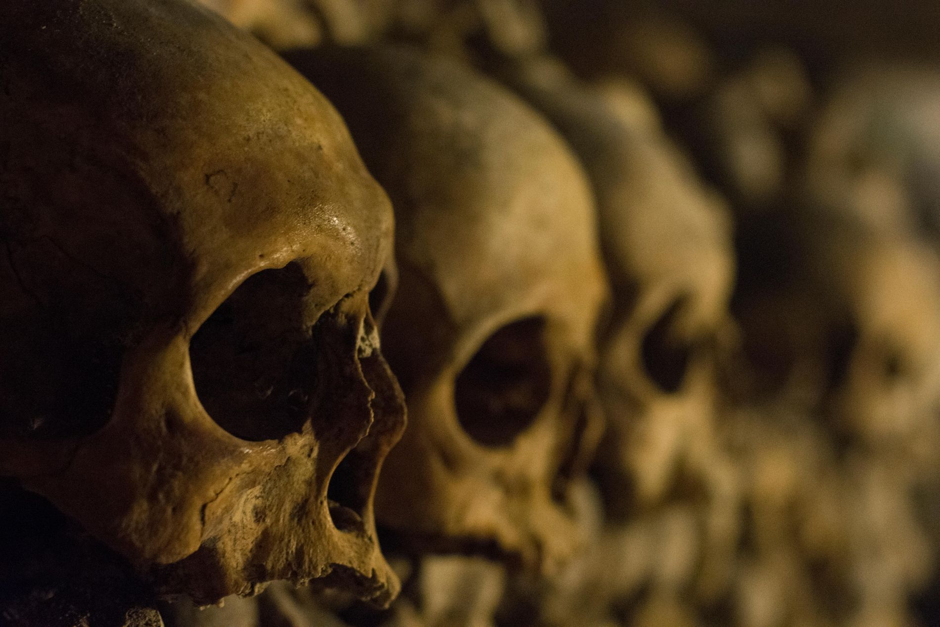 1900x1267 Beneath Paris Lies a Dark and Forbidden World