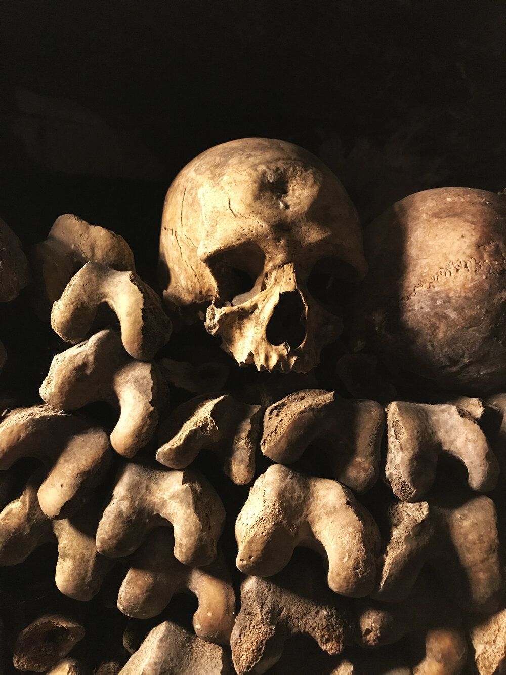 1000x1333 CATACOMBS