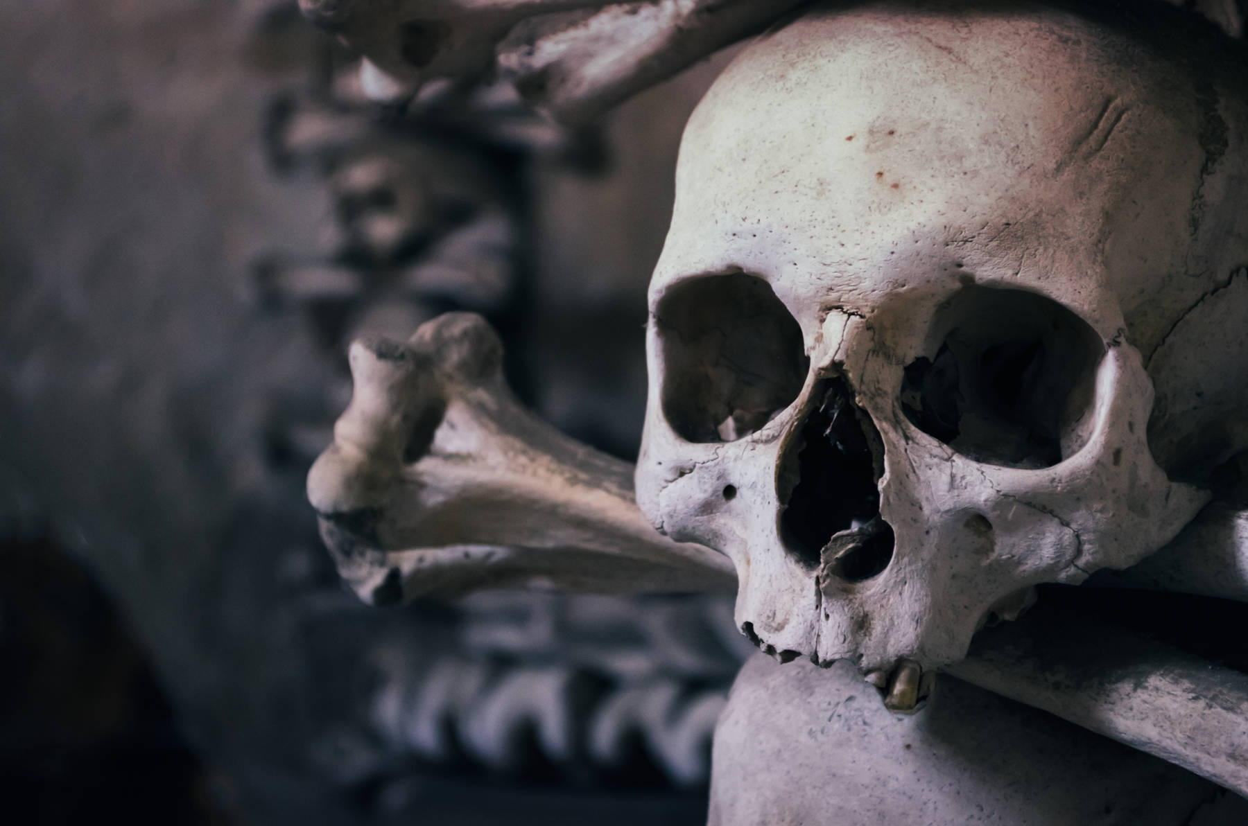 1800x1192 Subterranea: Catacombs