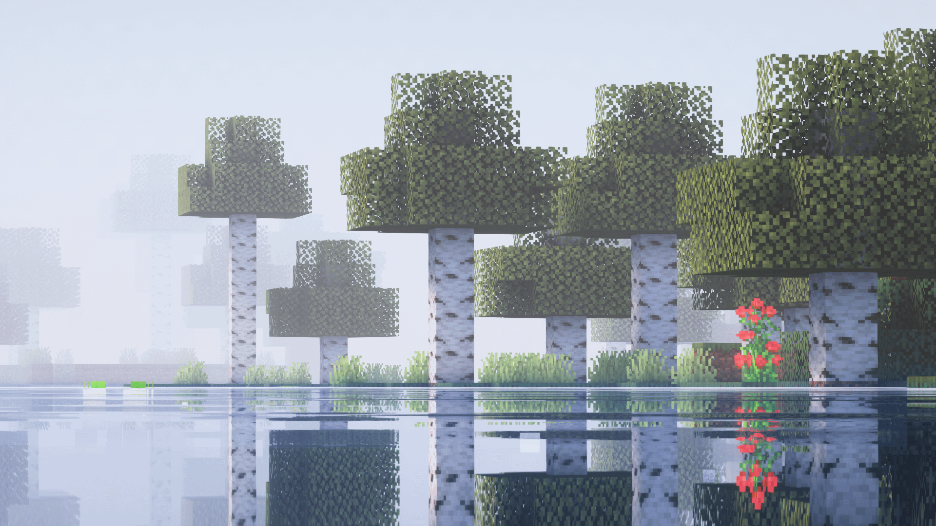 1920x1080 A simple birch forest Wallpaper (Minecraft)