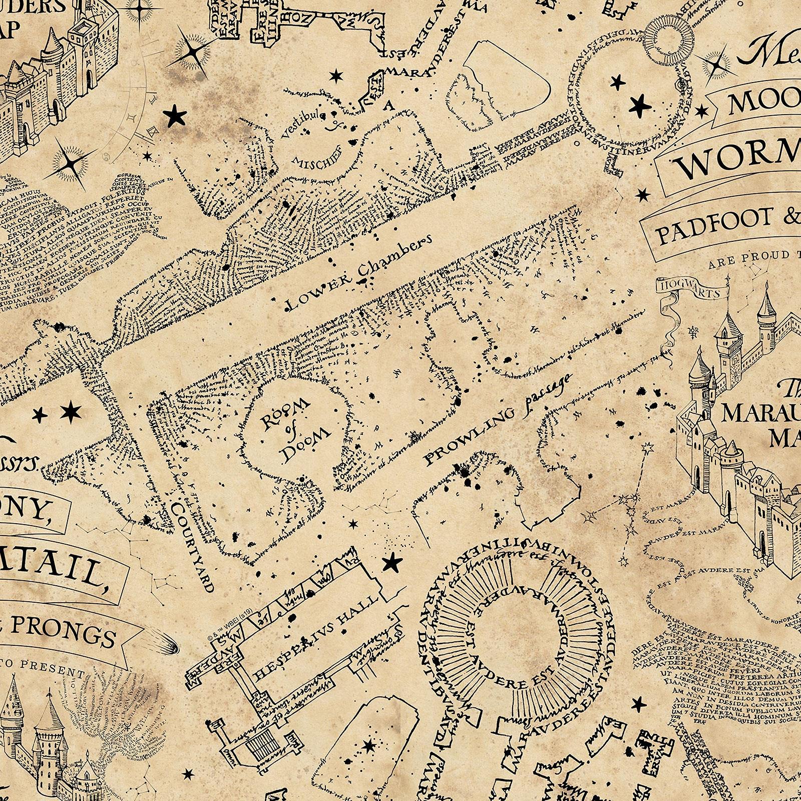 1600x1600 Harry Potter Mischief Managed Glow in The Dark Wallpaper Parchment Graham & Brown 108186