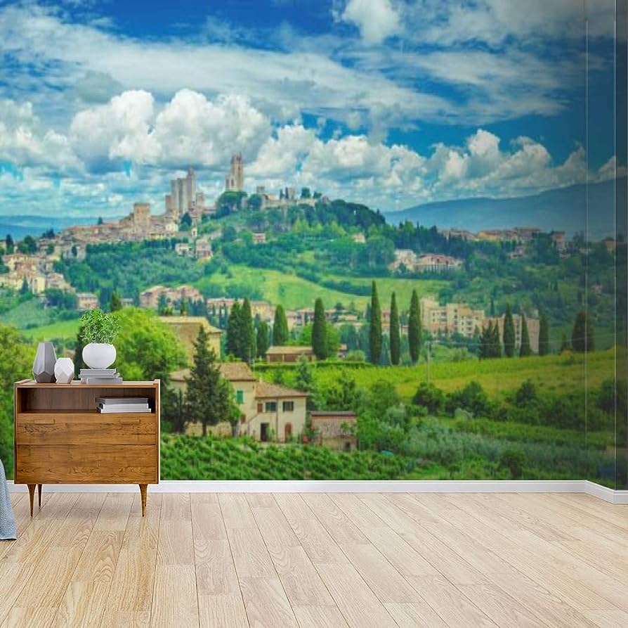 894x893 QBHPVLAZFMQ San Gimignano in Tuscany and The Italian Countryside Canvas Print Wallpaper Self Adhesive Peel & Stick Wallpaper Wall Mural Wall Decal Wall Poster Home Decor Sticker for Living Room