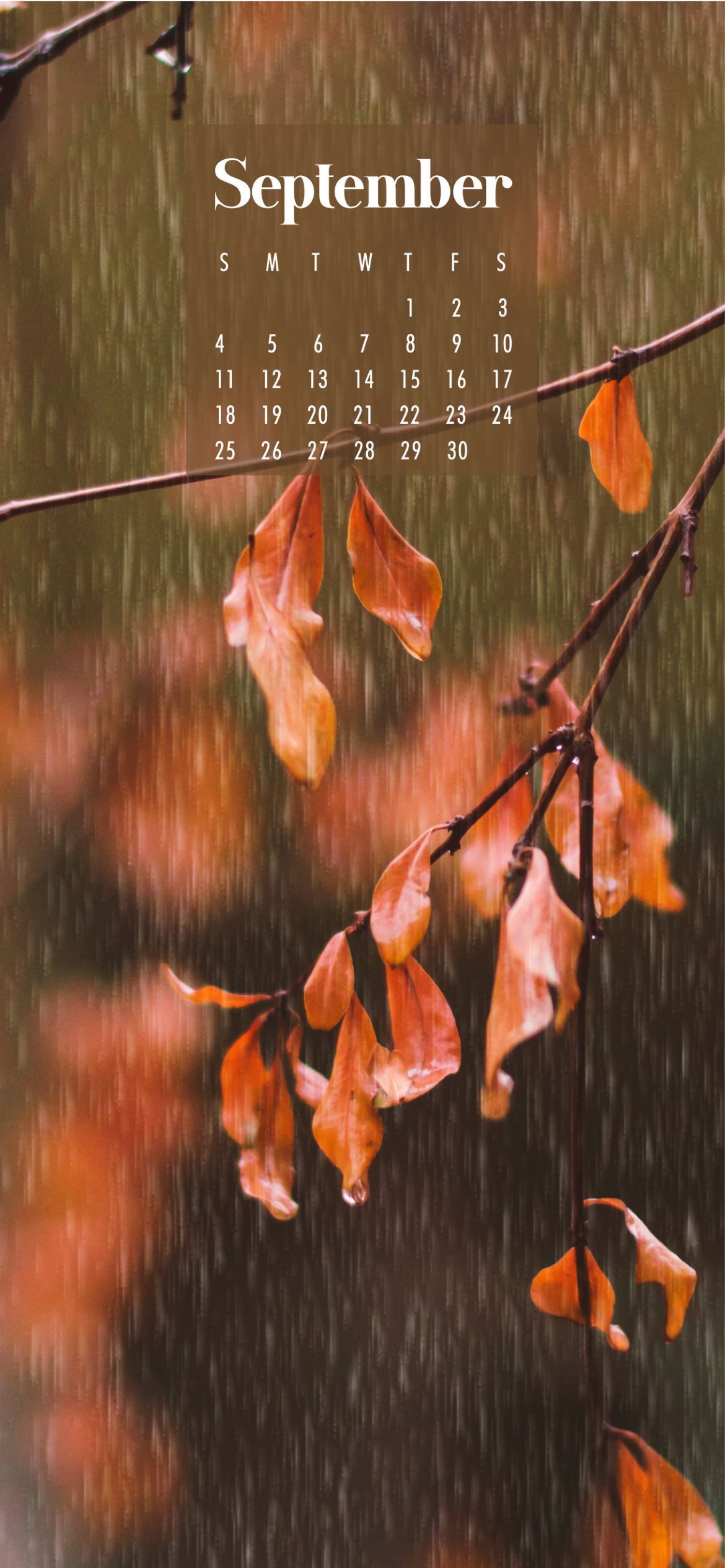1170x2531 September Calendar Wallpaper Best Desktop & Phone Background