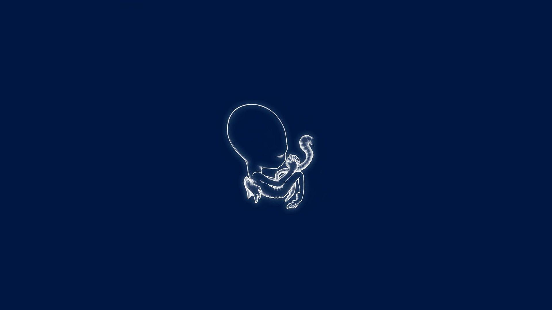 1920x1080 Sigur Ros Wallpaper HD