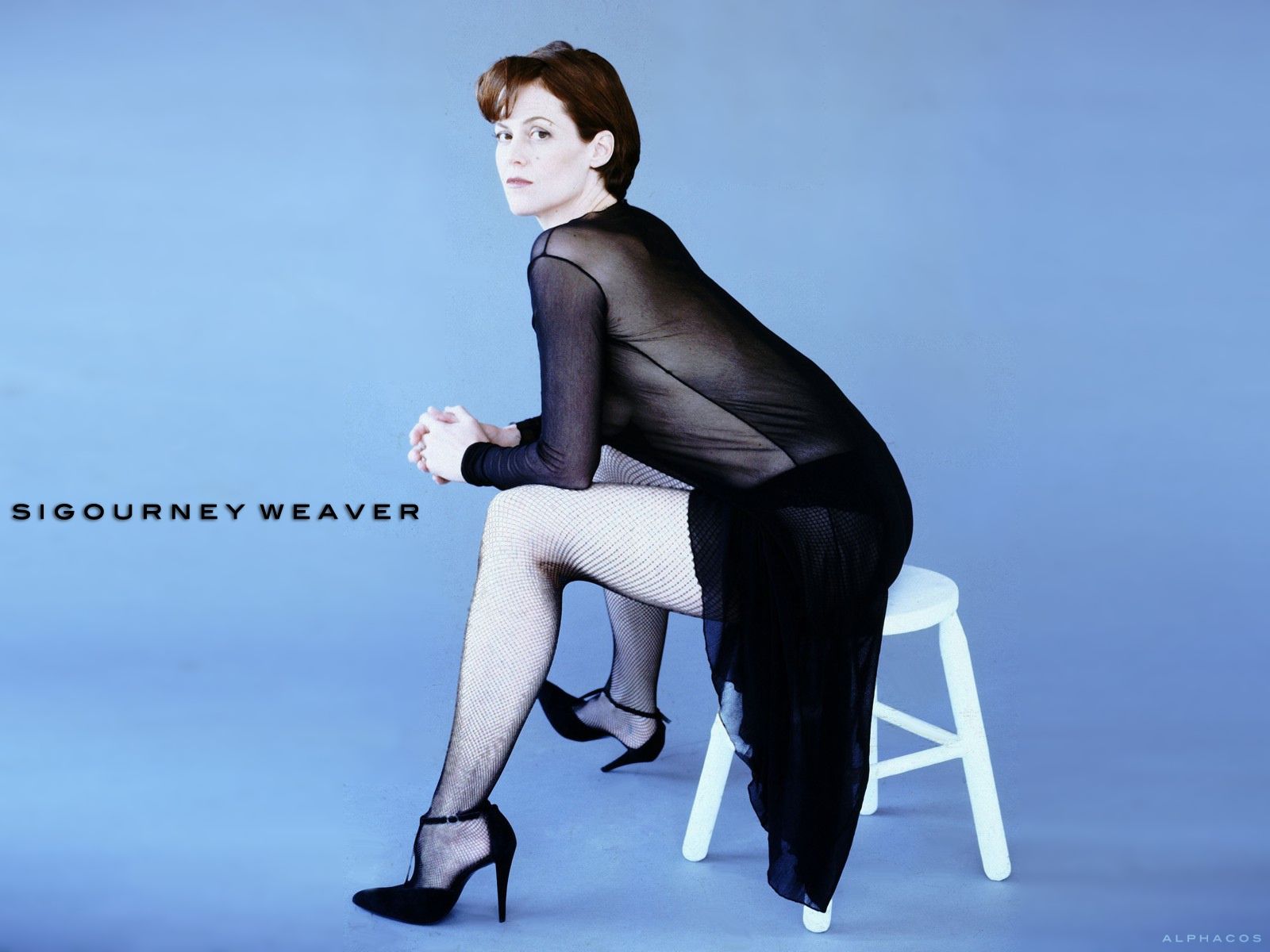 1600x1200 Free download Sigourney Weaver image Sigourney Weaver HD wallpaper and background [1600x1200] for your Desktop, Mobile & Tablet. Explore Sigourney Weaver Wallpaper. Sigourney Weaver Wallpaper