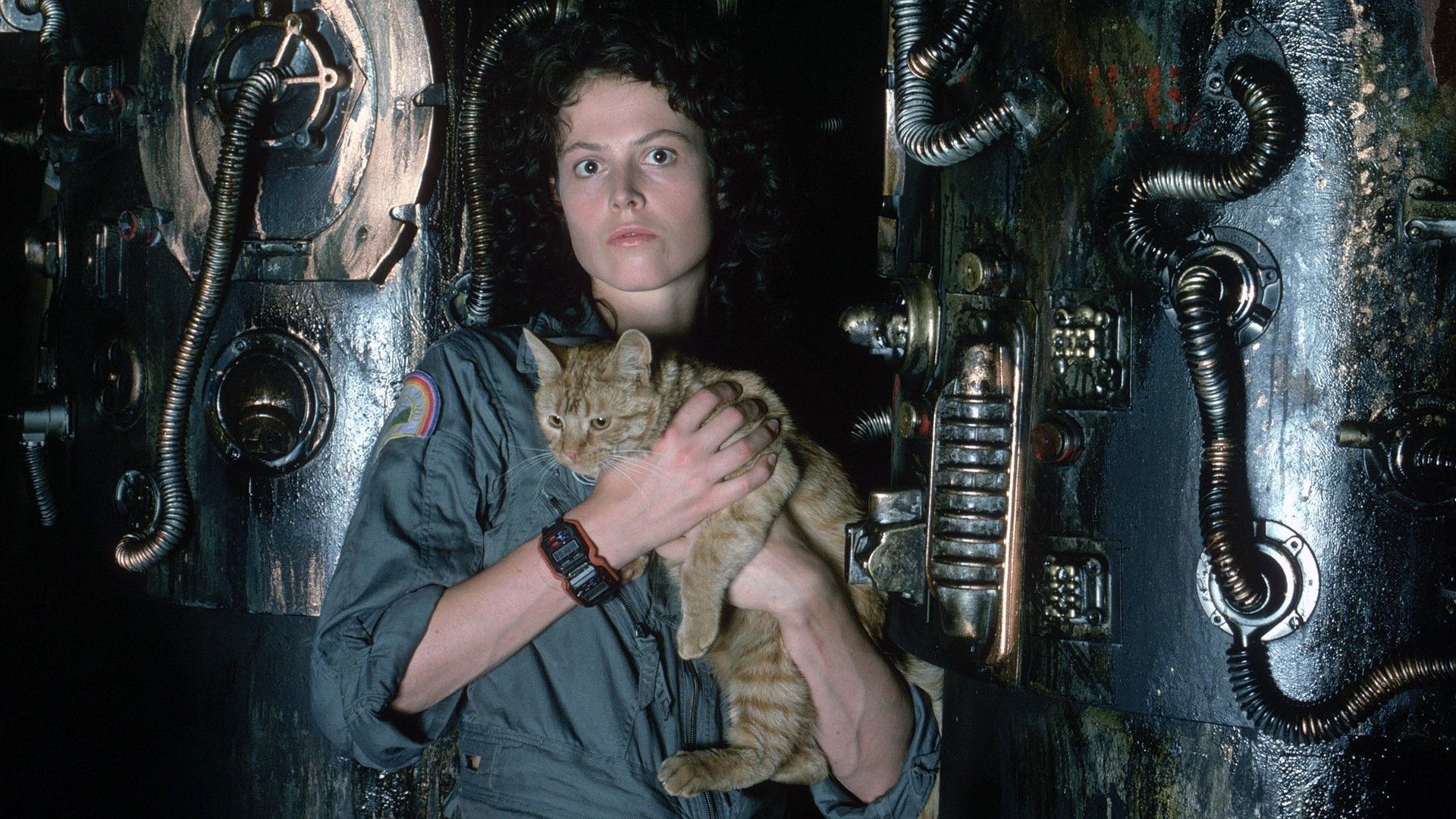 1920x1080 1920x1080 sigourney weaver alien movie aliens movie wallpaper JPG 610 kB Gallery HD Wallpaper