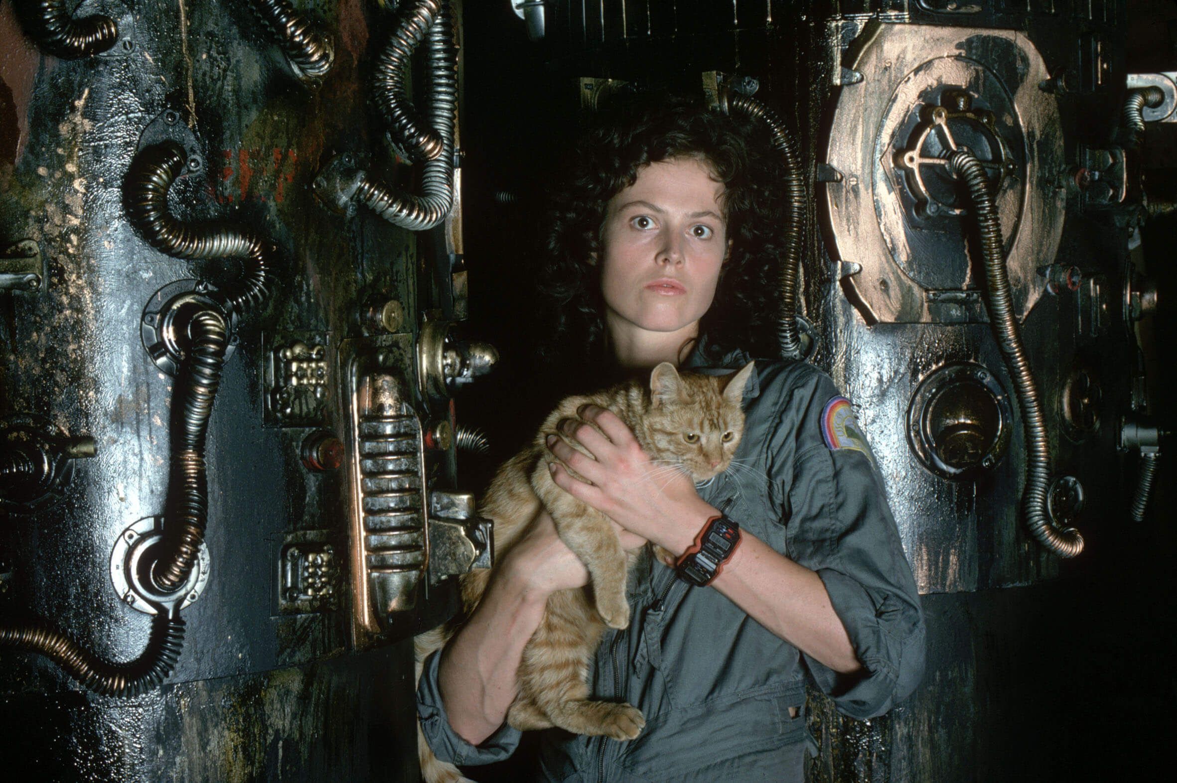 2362x1572 Download Sigourney Weaver wallpaper for mobile phone, free Sigourney Weaver HD picture