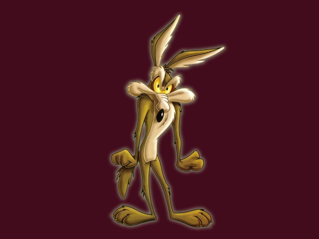 1024x768 Wile E Coyote Wallpaper