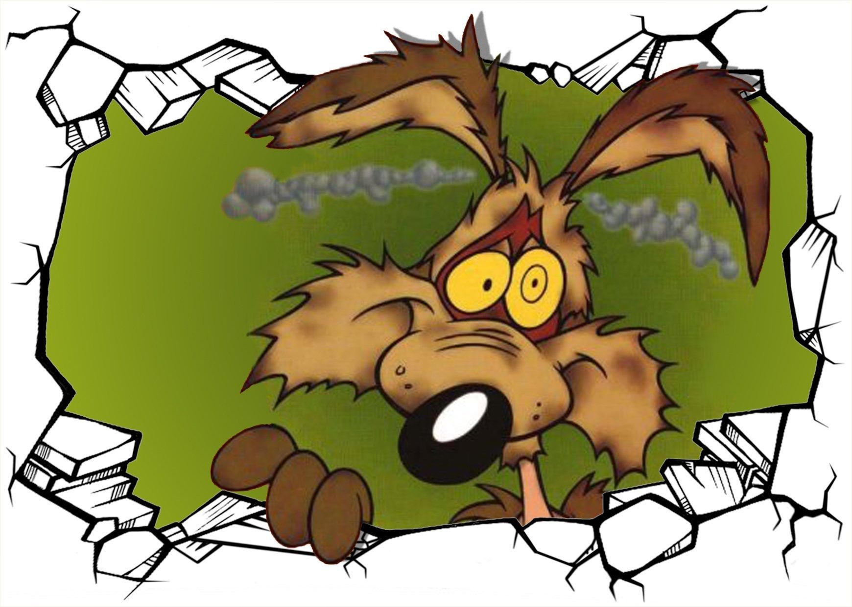 1740x1241 wile e coyote 1080P, 2k, 4k HD wallpaper, background free download