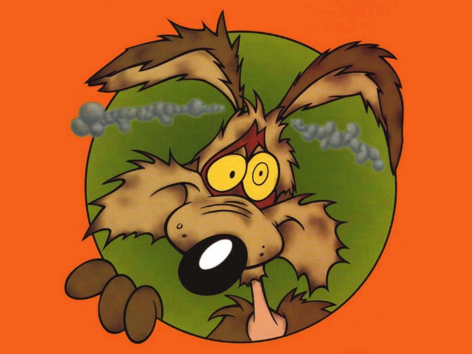 1600x1200 wile e coyote 1080P, 2k, 4k HD wallpaper, background free download