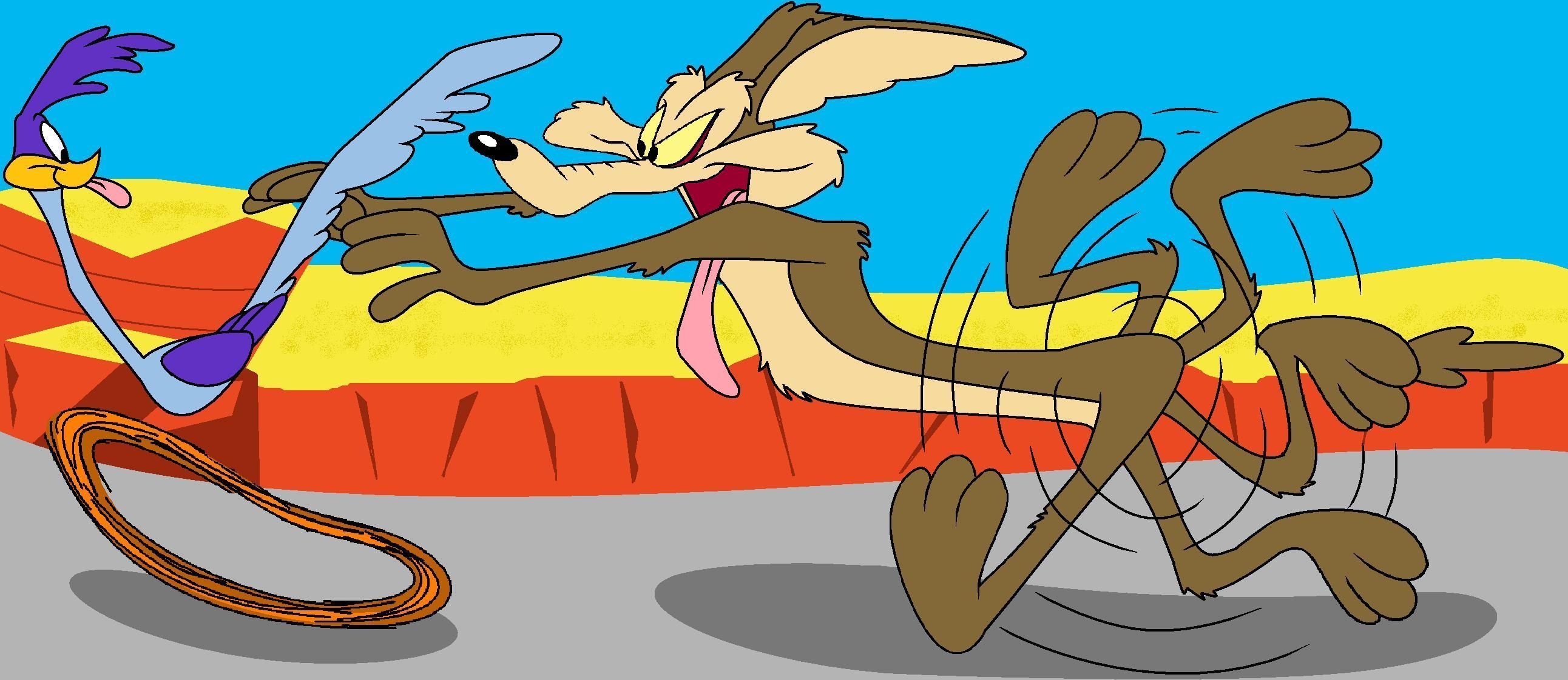 2584x1122 wile e coyote