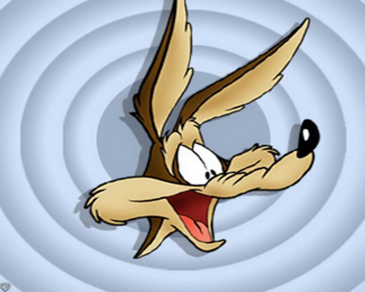 1280x1024 Coyote Wallpaper:1280x1024