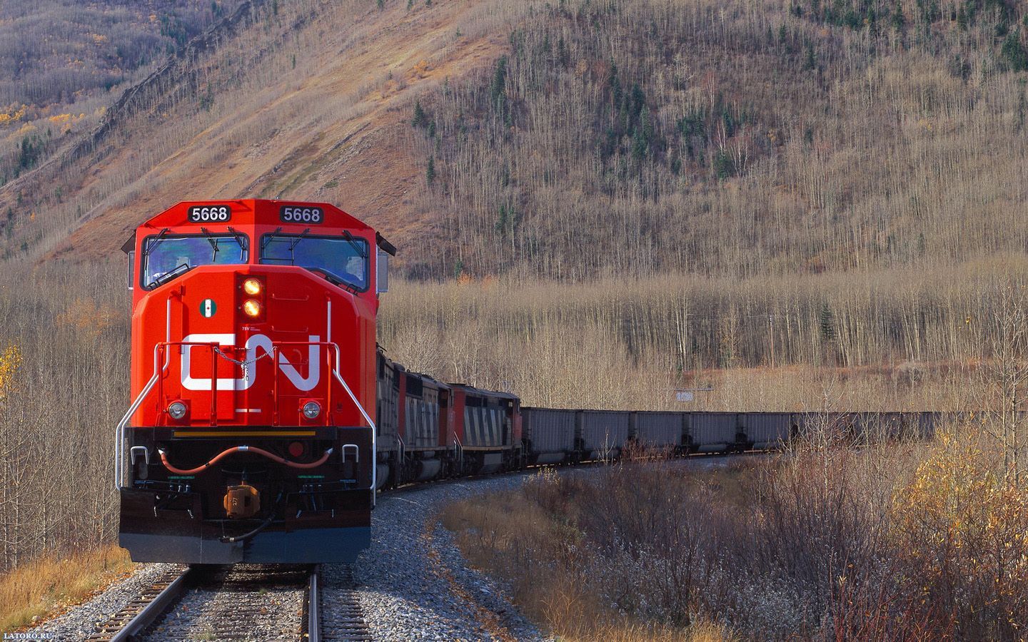 1440x900 Train Wallpaper