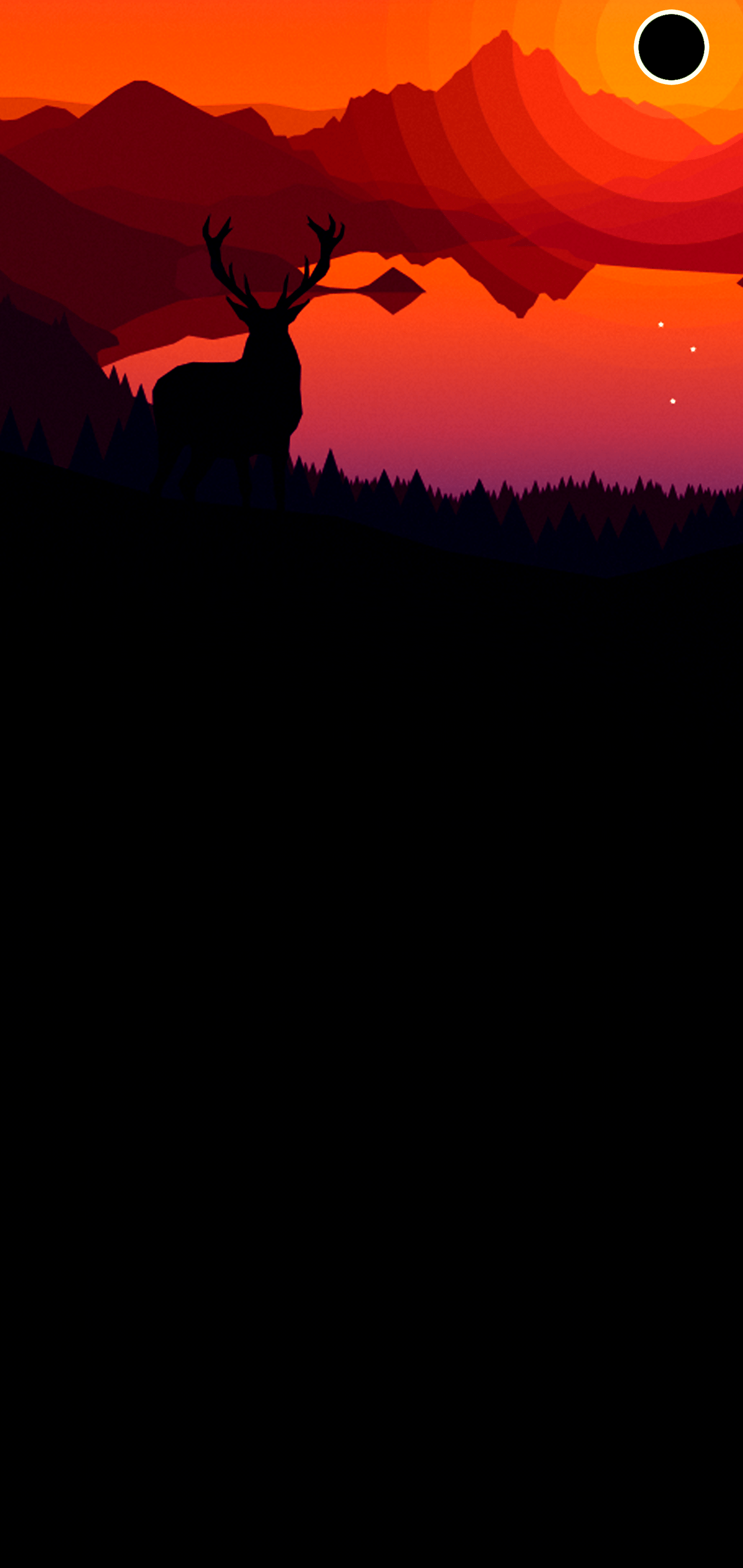 1440x3040 Punch Hole Wallpaper