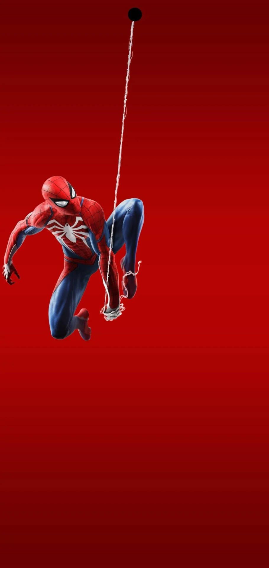 910x1920 Download Spiderman Hanging By The Web On The Punch Hole Wallpaper