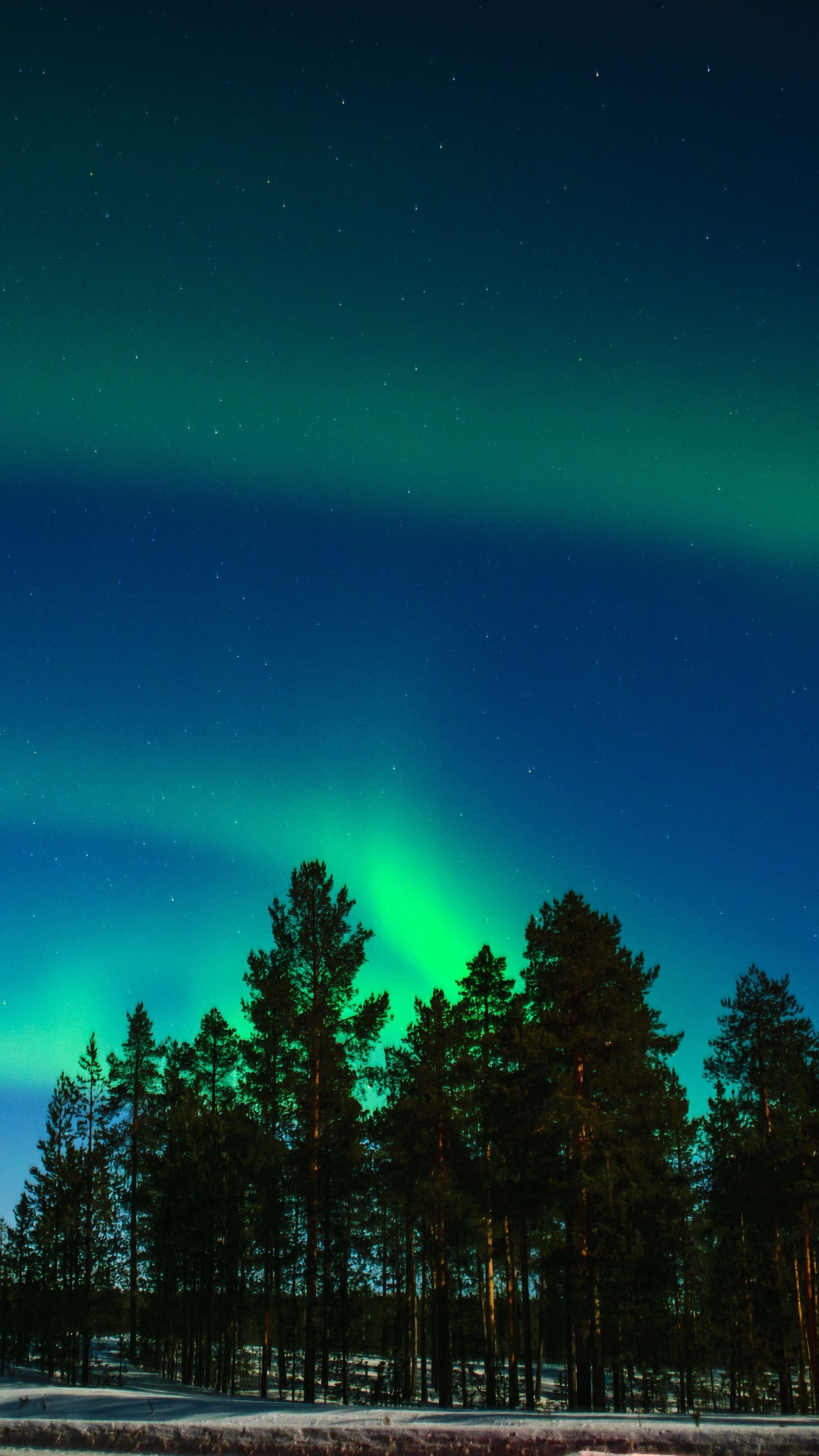 2160x3840 Wallpaper Aurora Lights, Aurora, North Pole, Rovaniemi, Light, Background Free Image