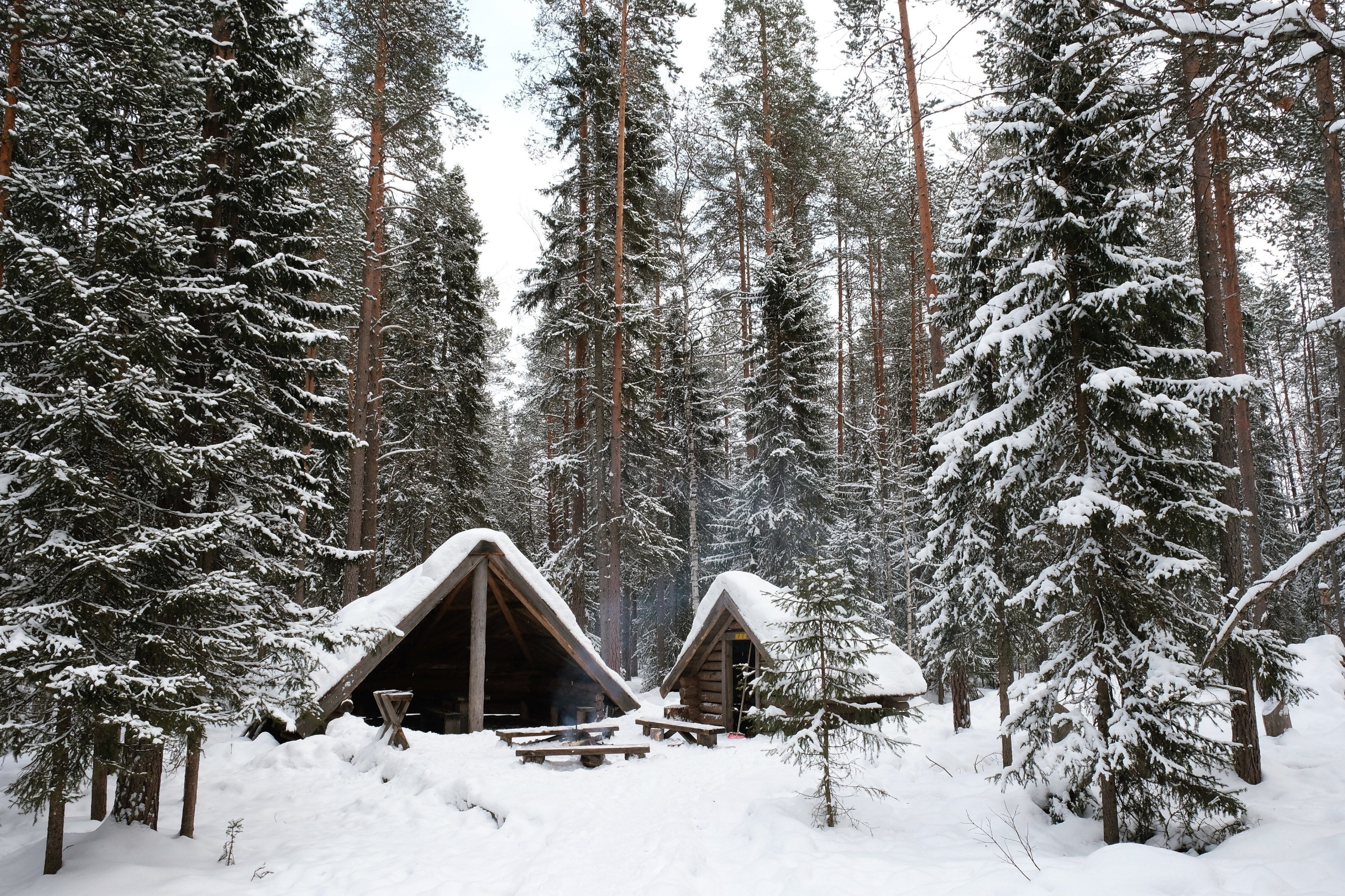 3840x2559 Wallpaper / looking at small cabins inside a forest in rovaniemi during the cold winter months in finland, cabin in winter wonderland 4k wallpaper free download