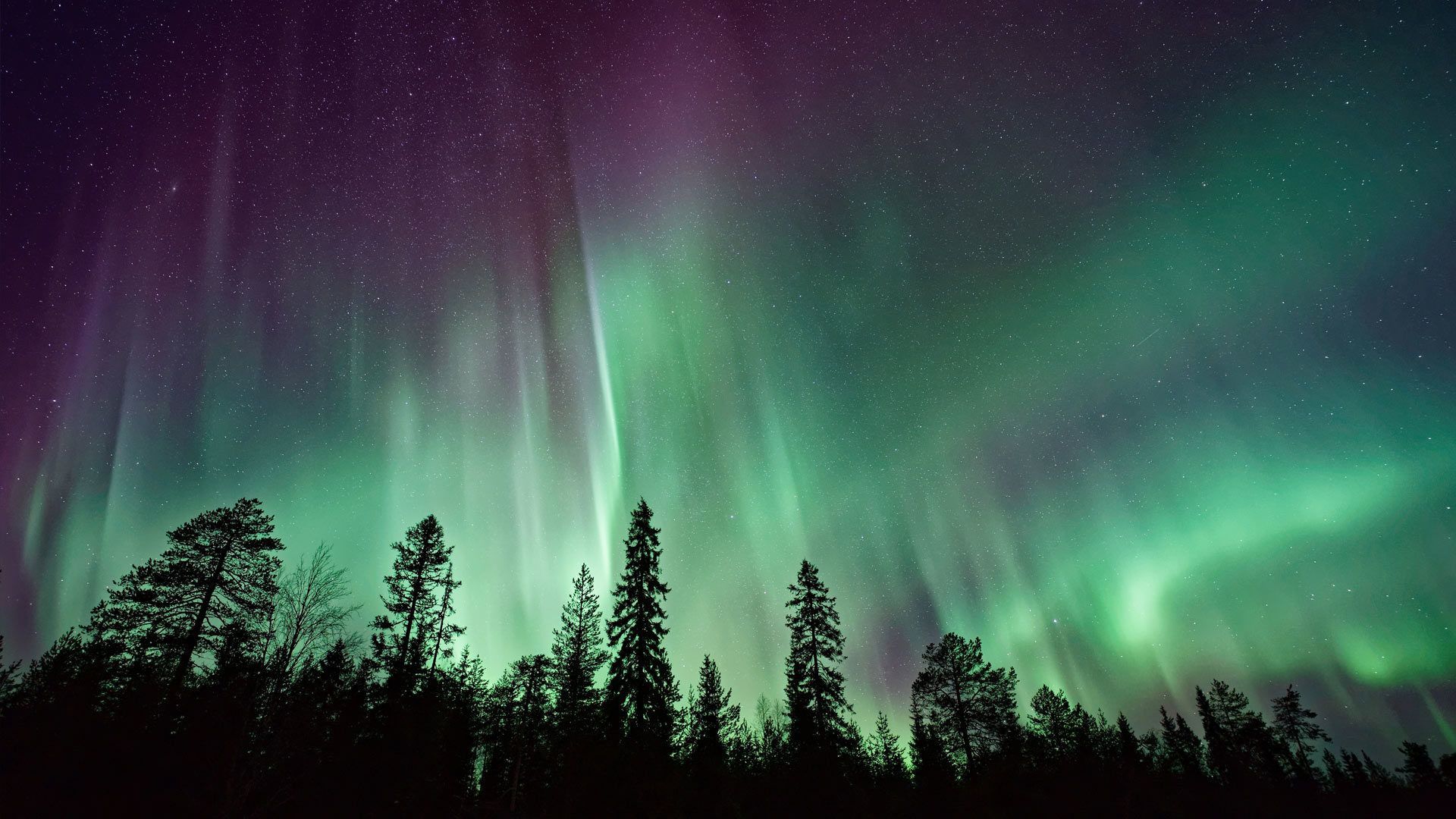 1920x1080 Visit Lapland Tours: Aurora Hunting & Lappish food Claus Village