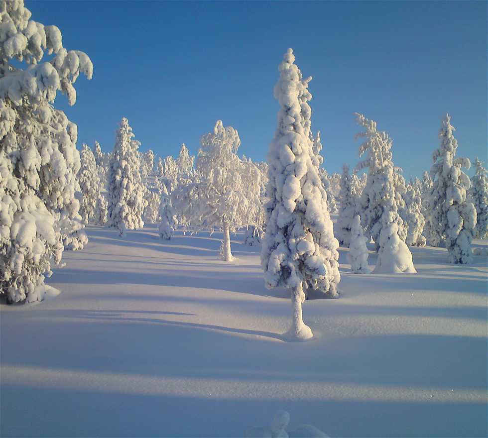 980x880 Photos of Rovaniemi: Image and photo