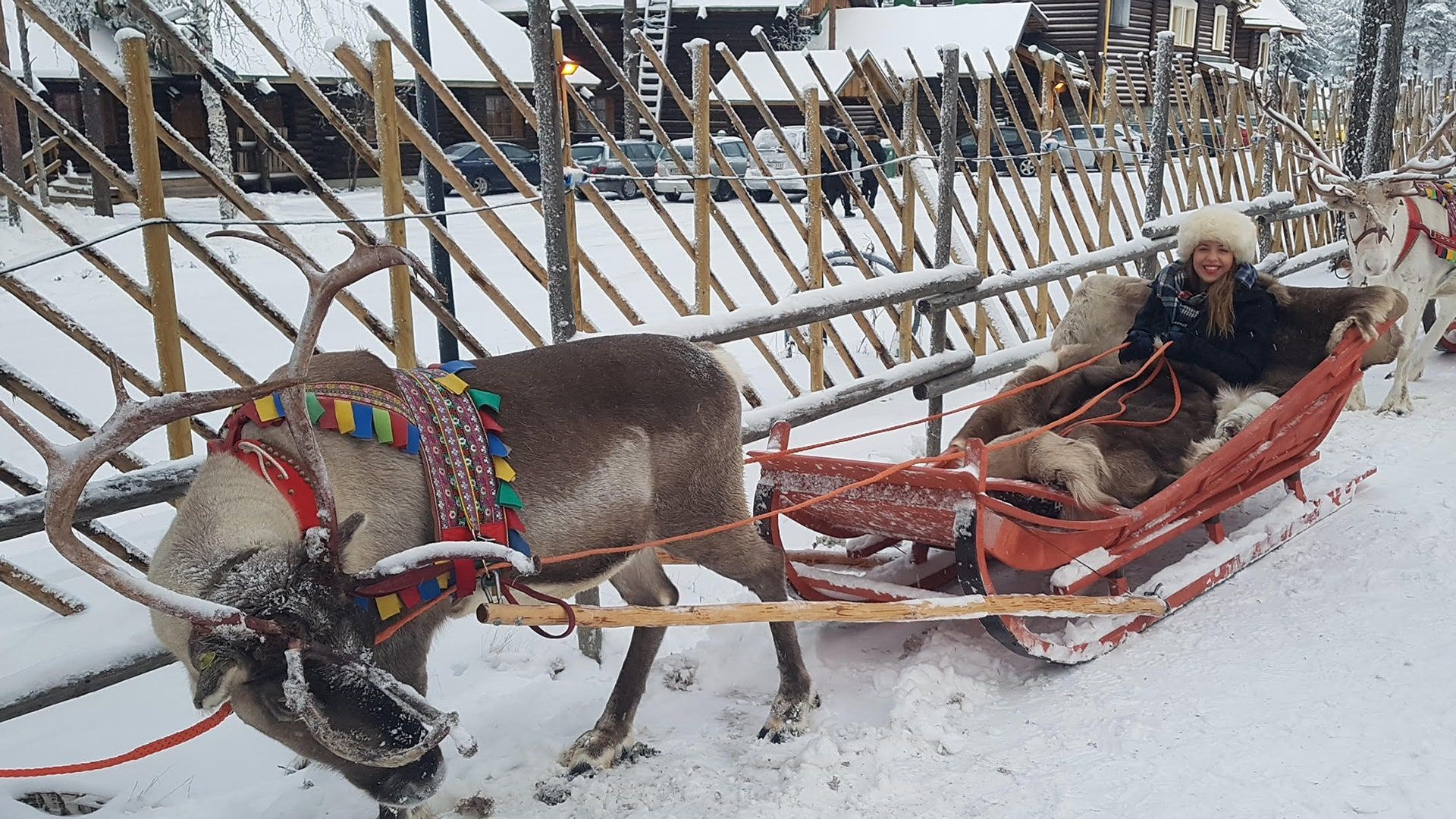 1920x1080 Rovaniemi Travel Guide: Seeing Santa, Reindeer, Northern Lights & More