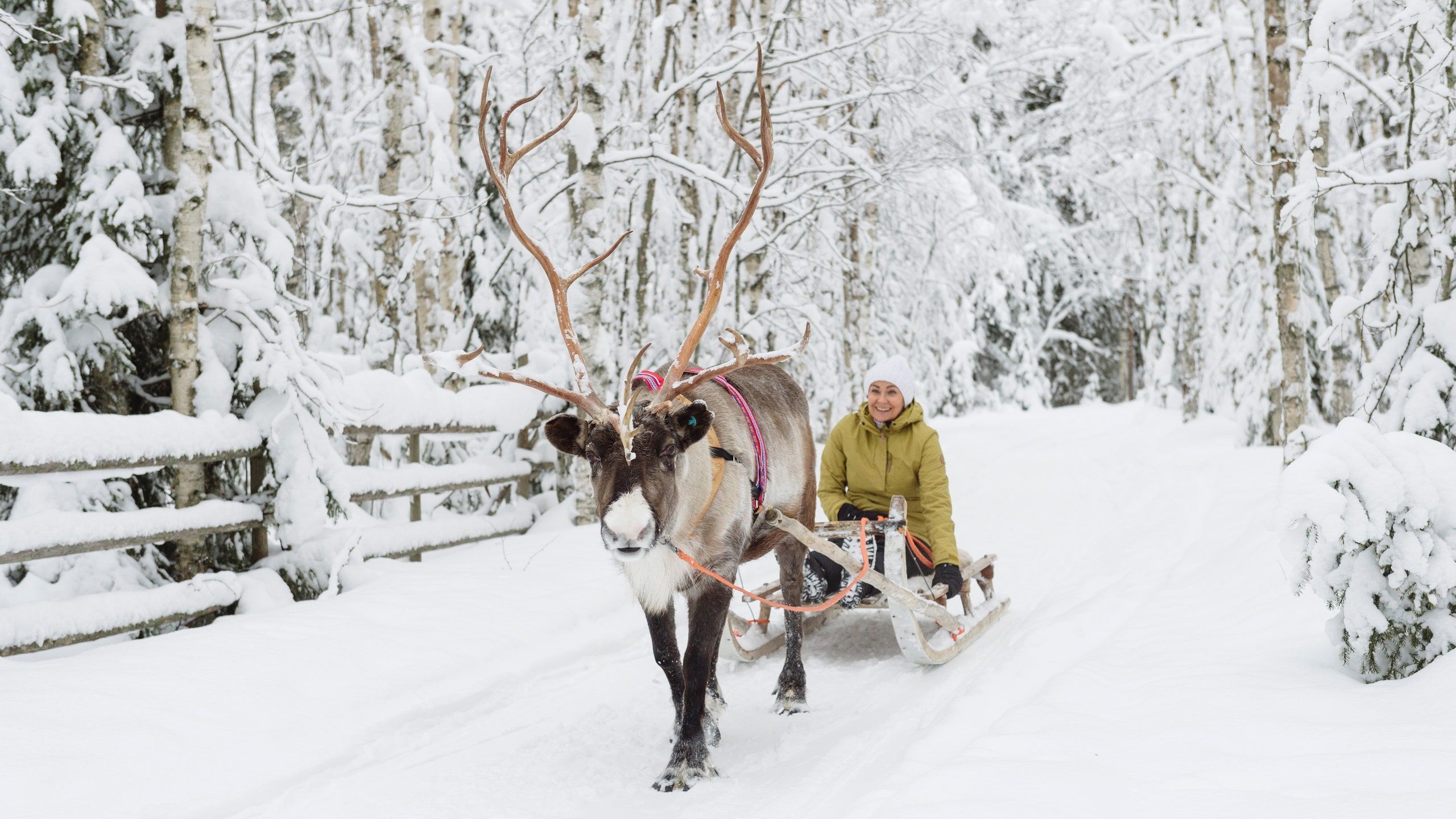 2560x1440 A 'Frozen'-Inspired Family Vacation With Reindeer, Saunas, and Northern Lights. Condé Nast Traveler