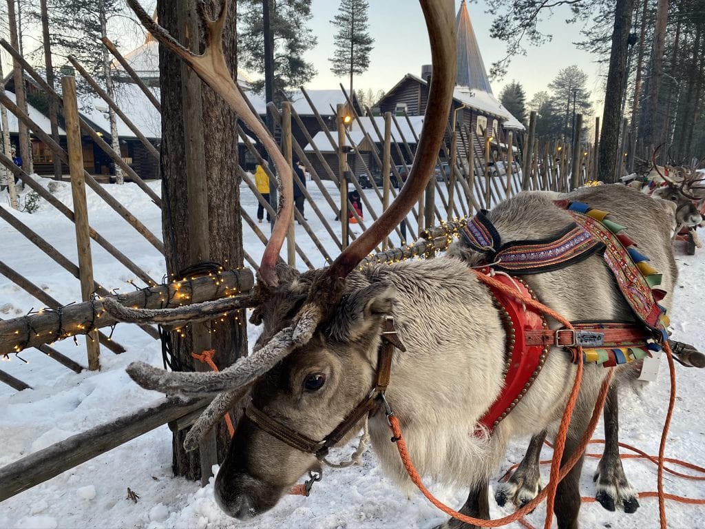 1024x768 Things To Do In Rovaniemi With Kids In Winter
