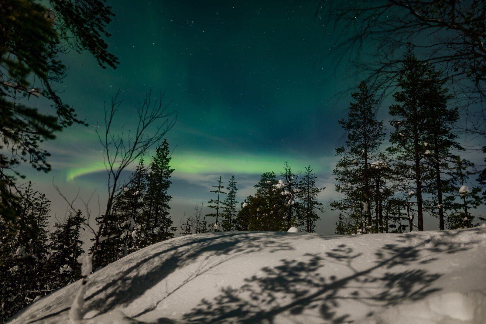 1600x1067 Ski Trekking by Night (Aurora Borealis Tour) from Rovaniemi