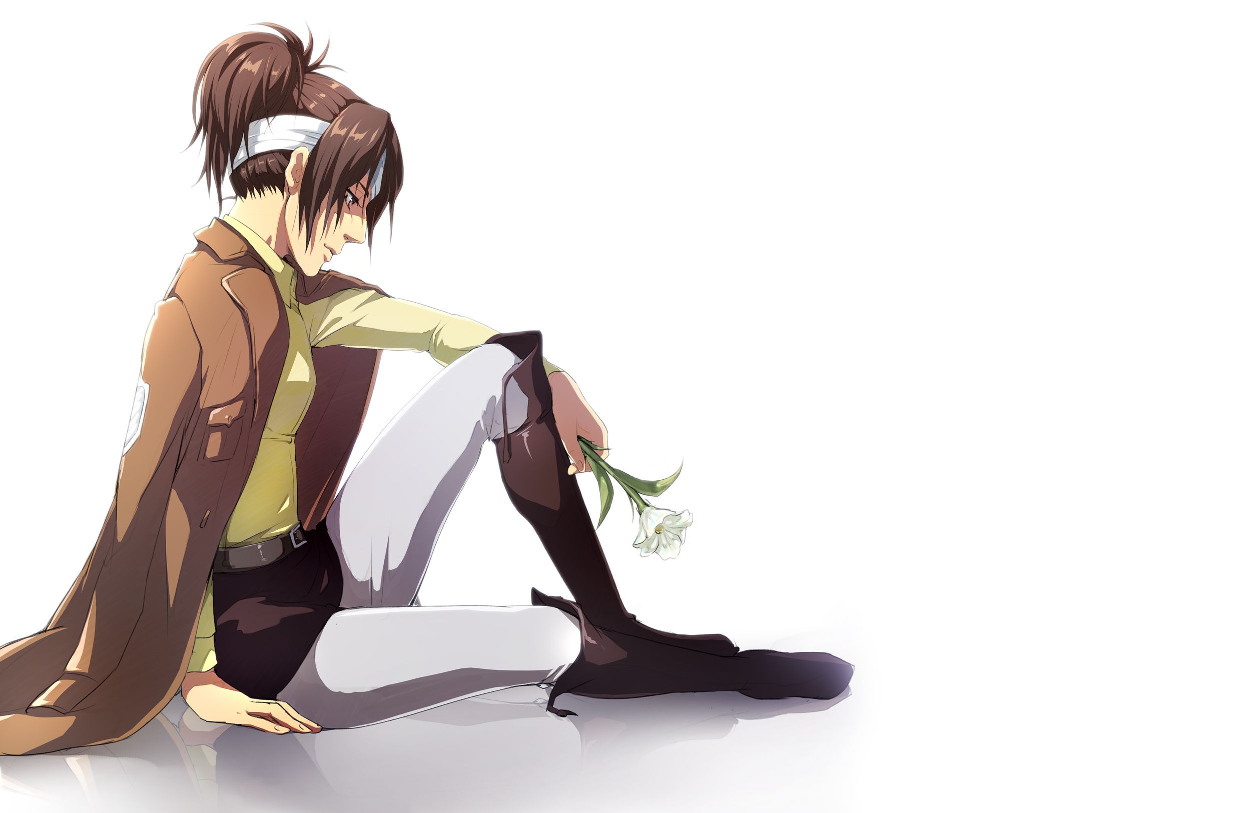 2500x1625 Hange Zoë HD Wallpaper and Background