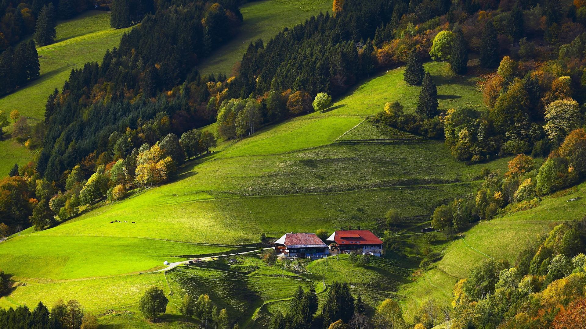 1920x1080 Germany black forest fields forests wallpaper
