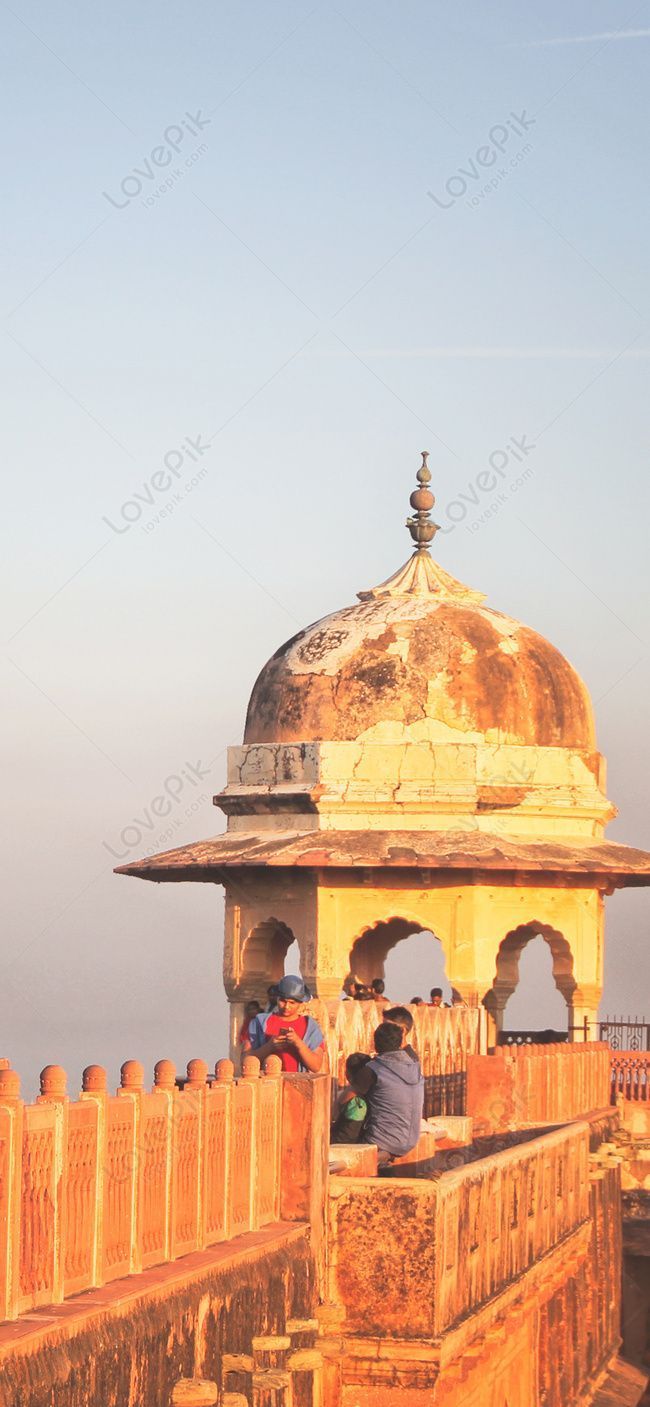 650x1407 Tigers Mobile Wallpaper Jaipur India Image Free Download