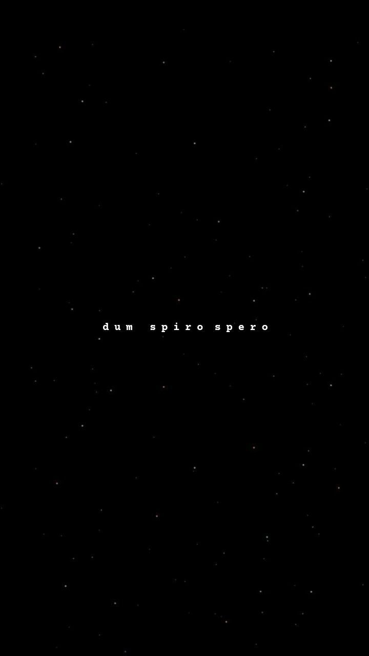 720x1280 Dum spiro spero. Latin quotes, Words wallpaper, Wallpaper quotes