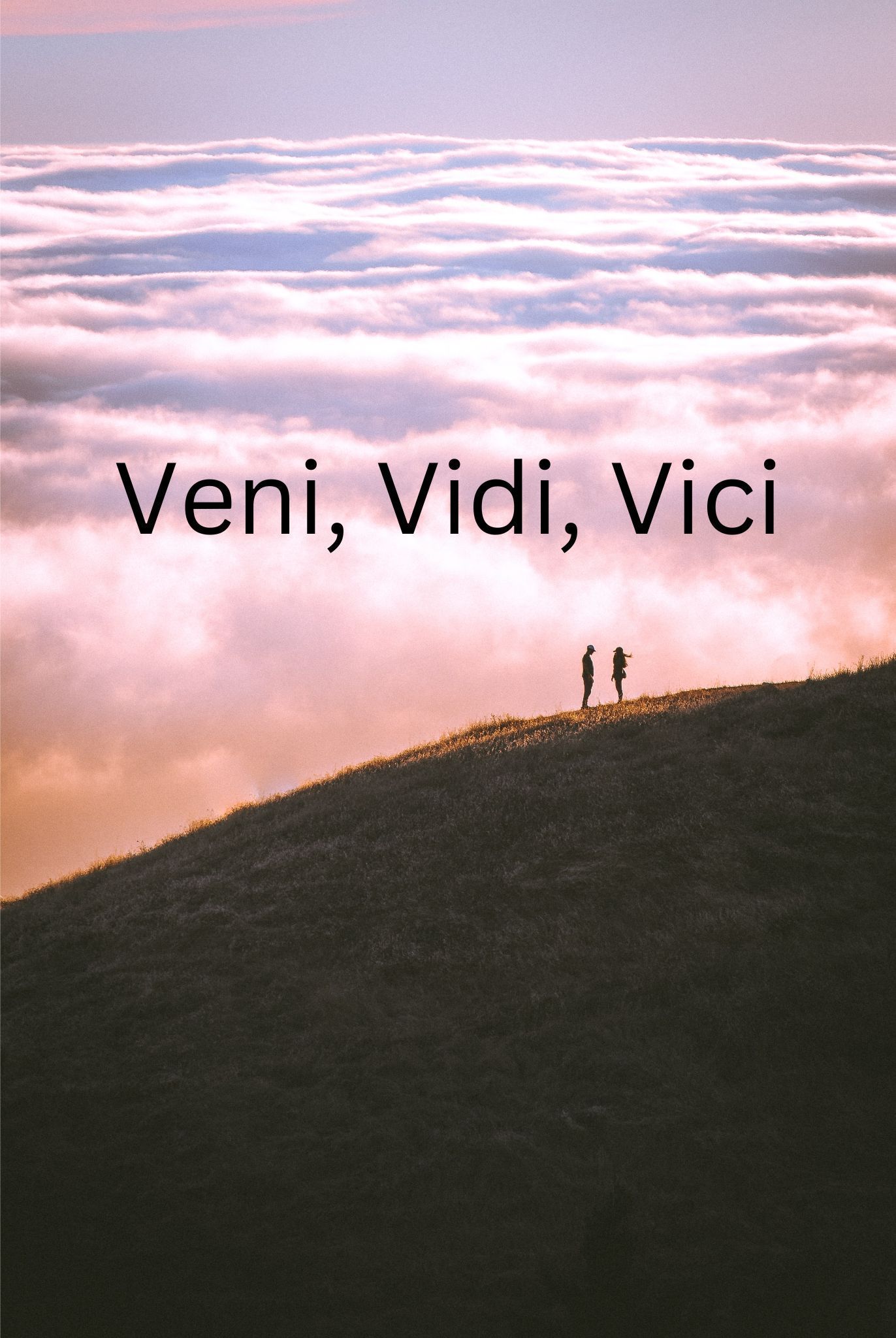 1372x2048 Famous Latin Quotes About Success