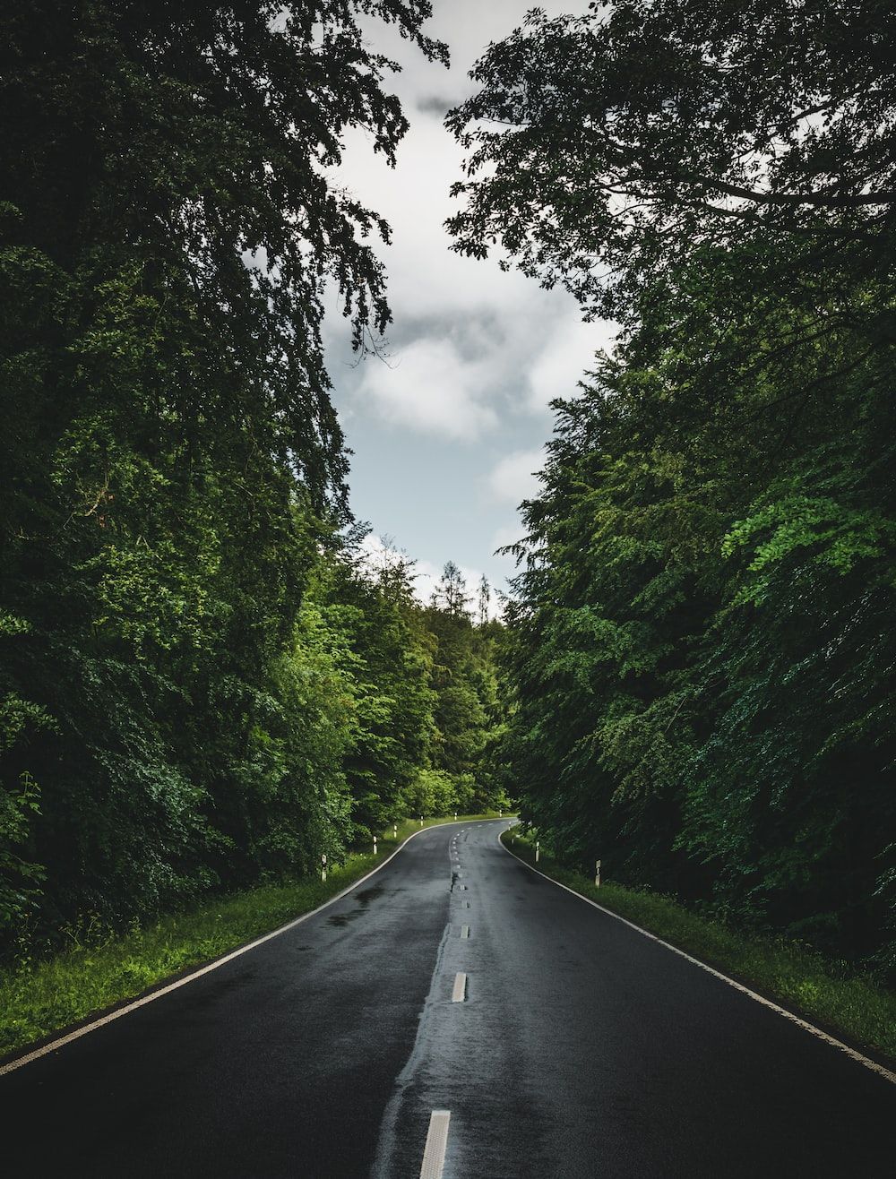 1000x1316 Spring Road Picture. Download Free Image