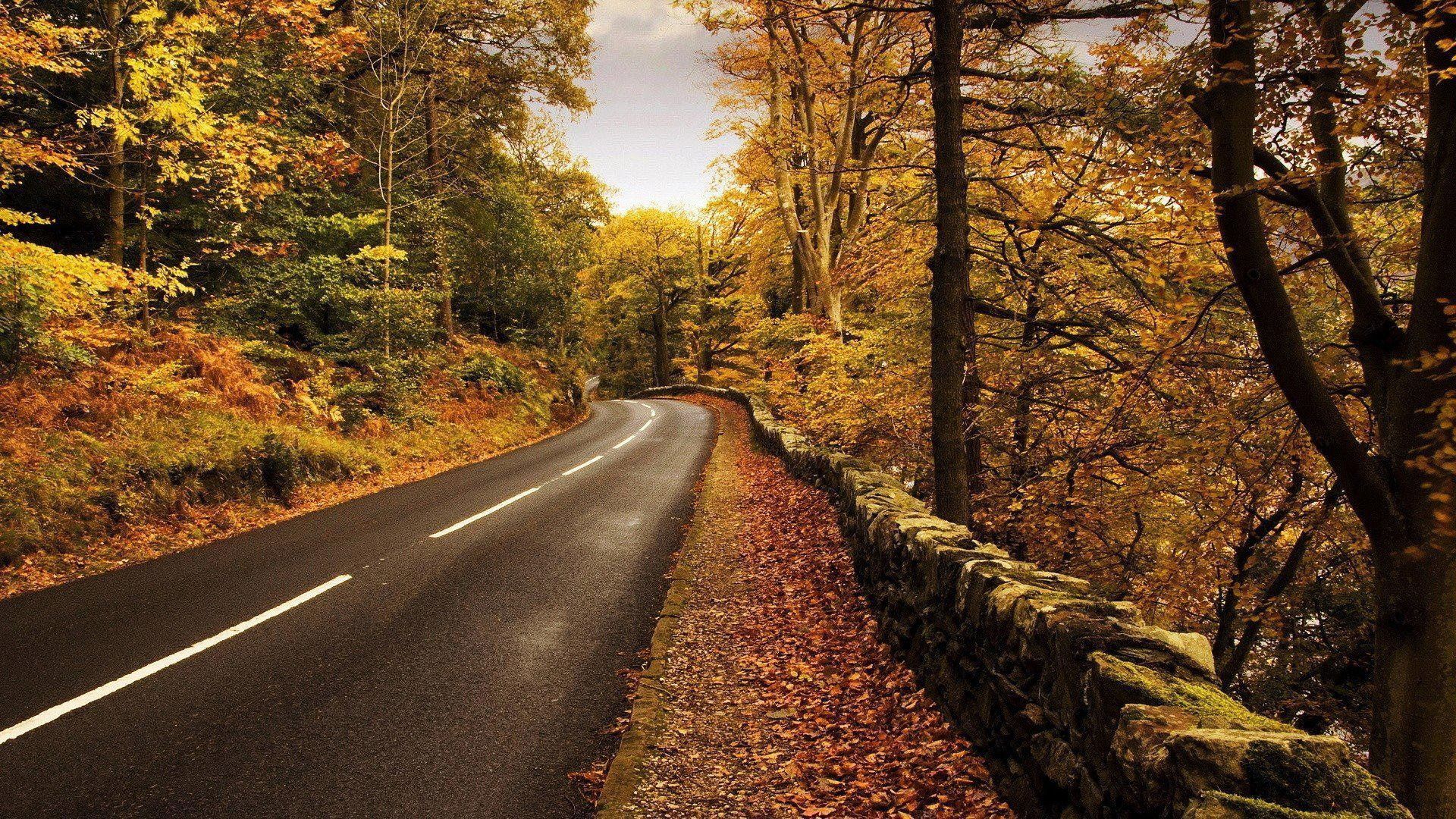 1920x1080 Nature Trees Spring Road HD wallpaper