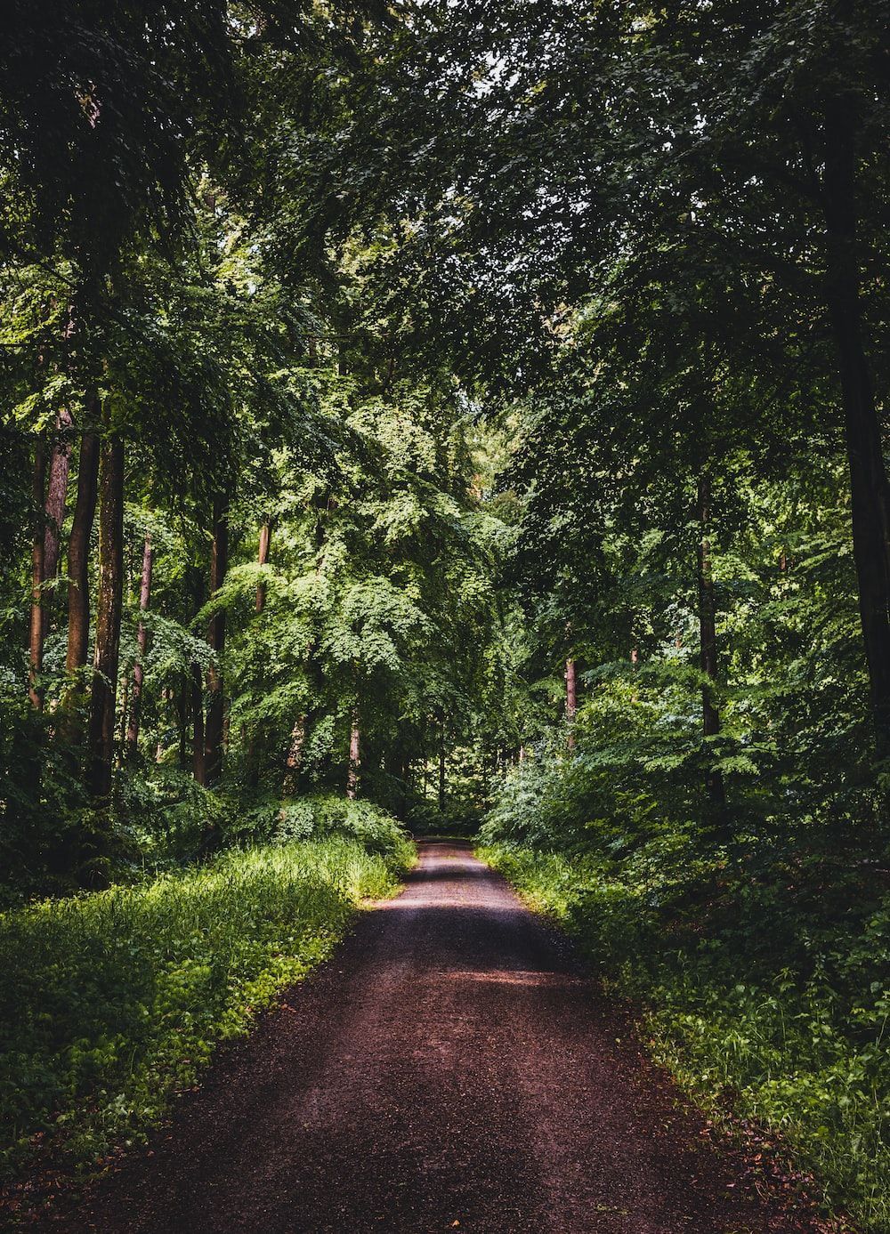 1000x1387 Spring Road Picture. Download Free Image