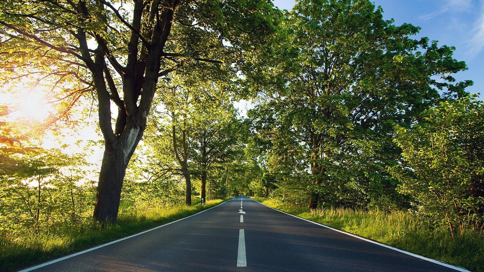 1920x1080 Spring Road Wallpaper