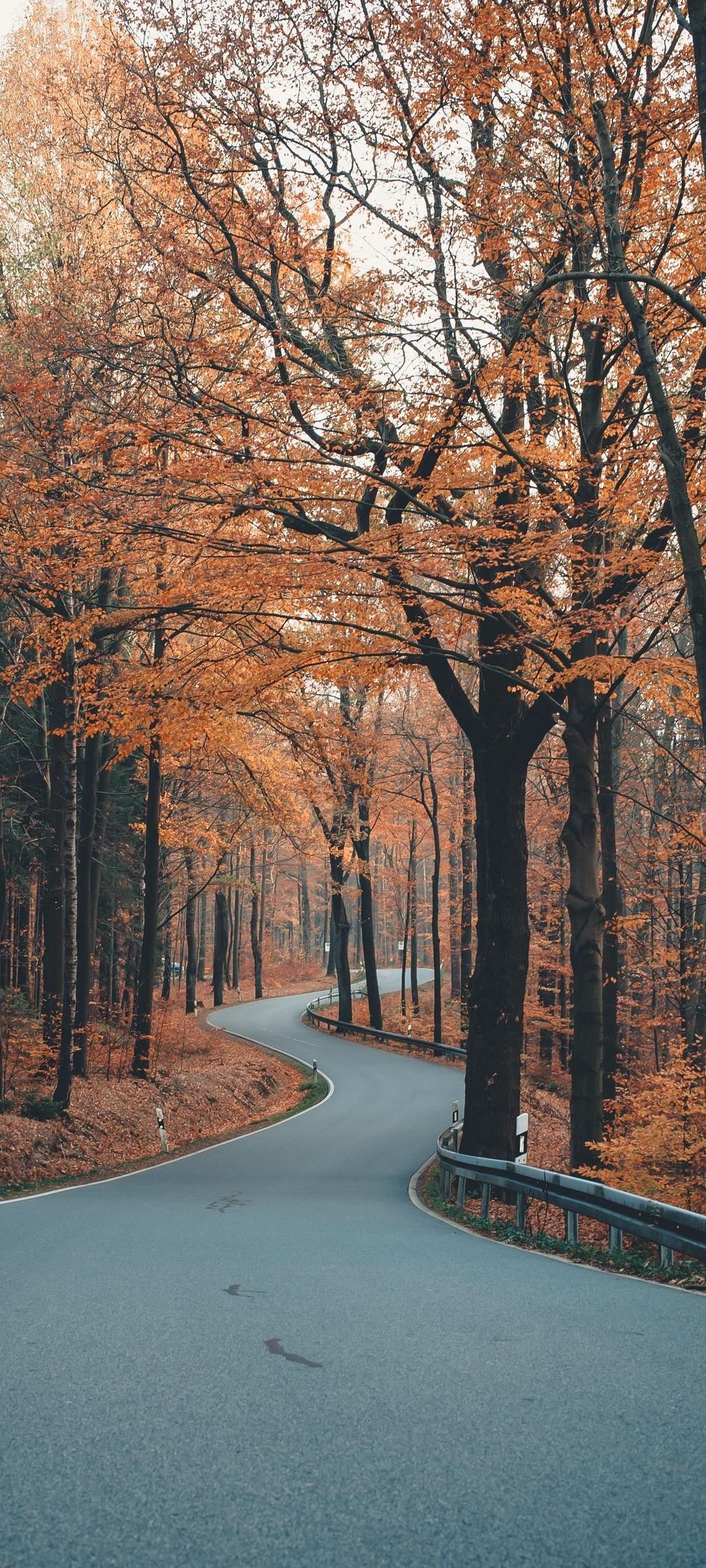 1080x2400 Free download Spring Path Wallpaper [1080x2400] for your Desktop, Mobile & Tablet. Explore Spring Street Wallpaper. City Street Wallpaper, Street Wallpaper, Street Bikes Wallpaper