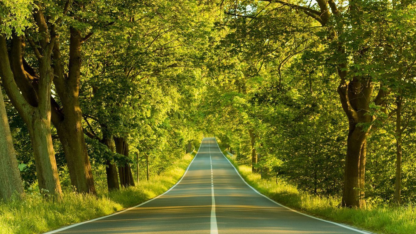 1366x768 Download wallpaper 1366x768 road, marking, greens, summer, trees tablet, laptop HD background