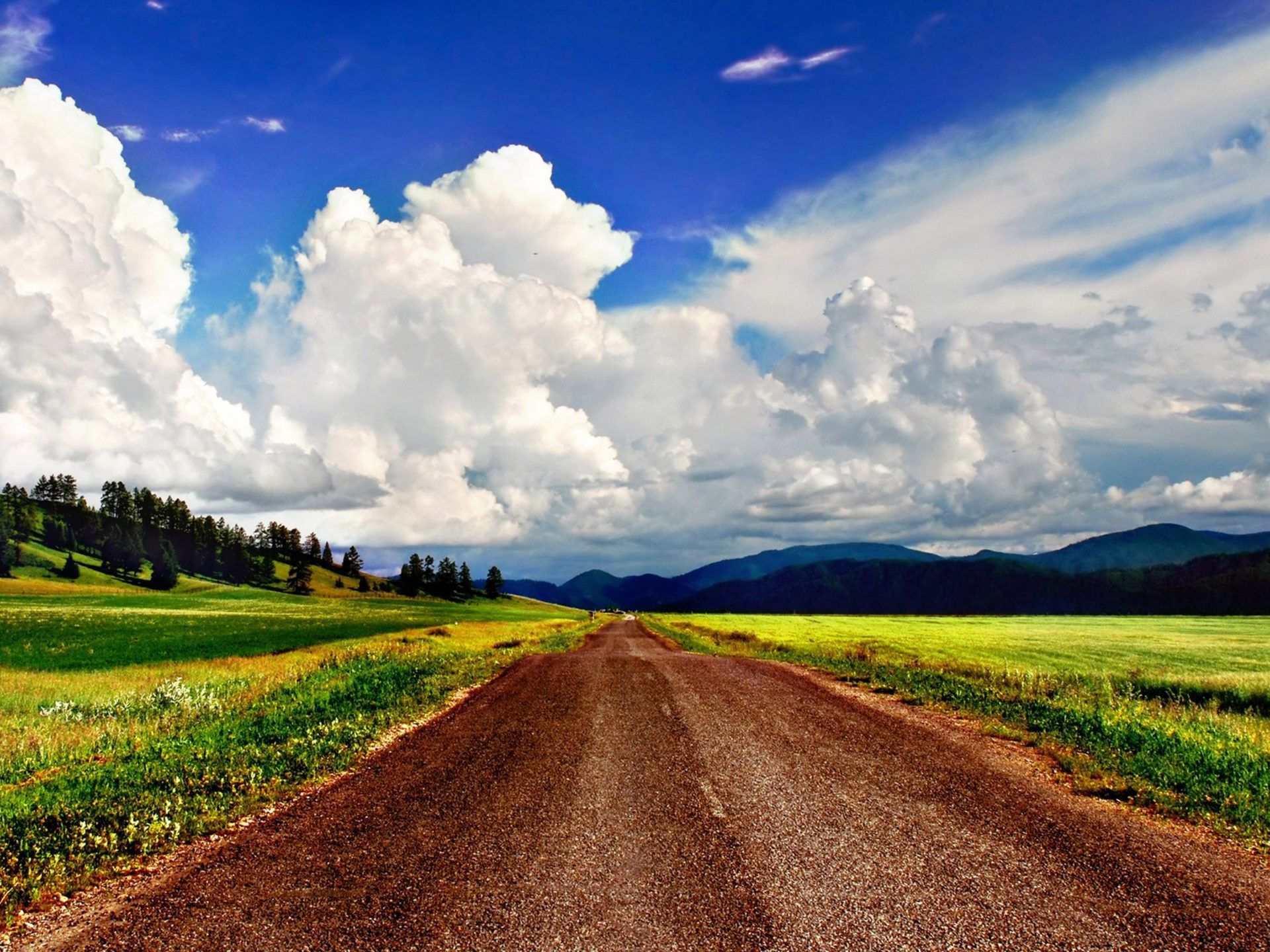 1920x1440 Spring Country Road, Trees, Rice Paddy Field, Blue Sky With White Cloud Wallpaper HD :